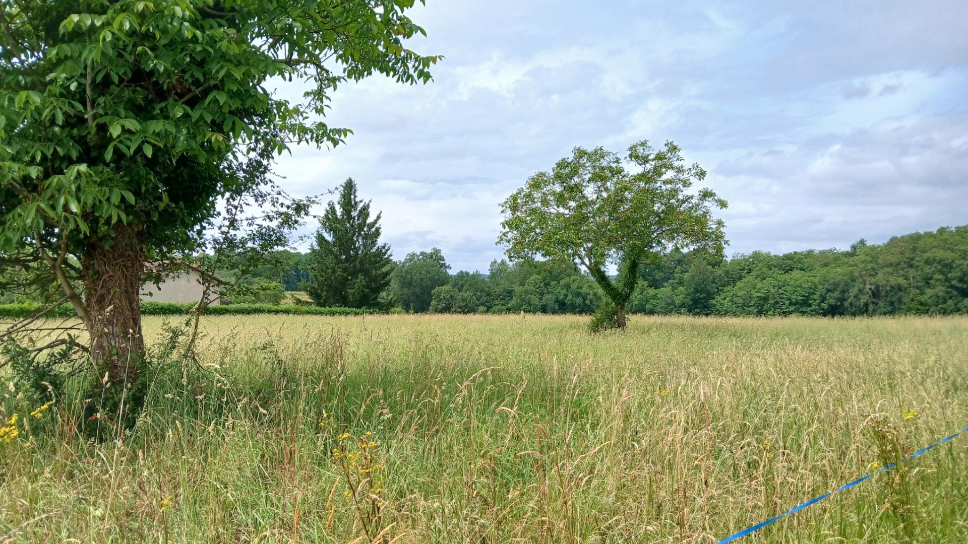 Terrain constructible