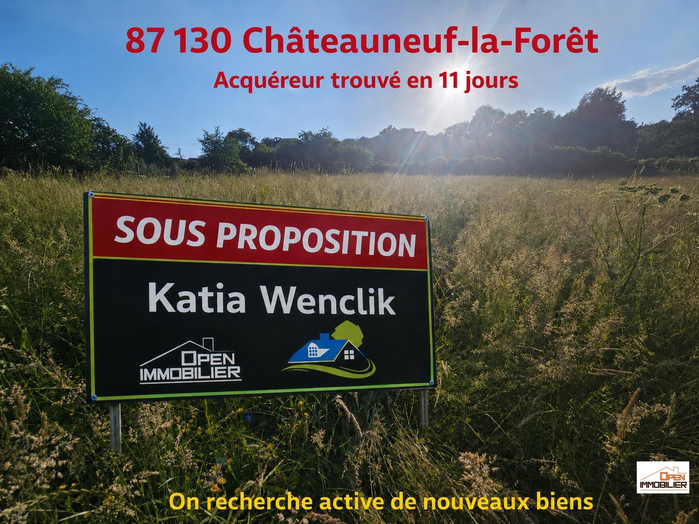Terrain constructible