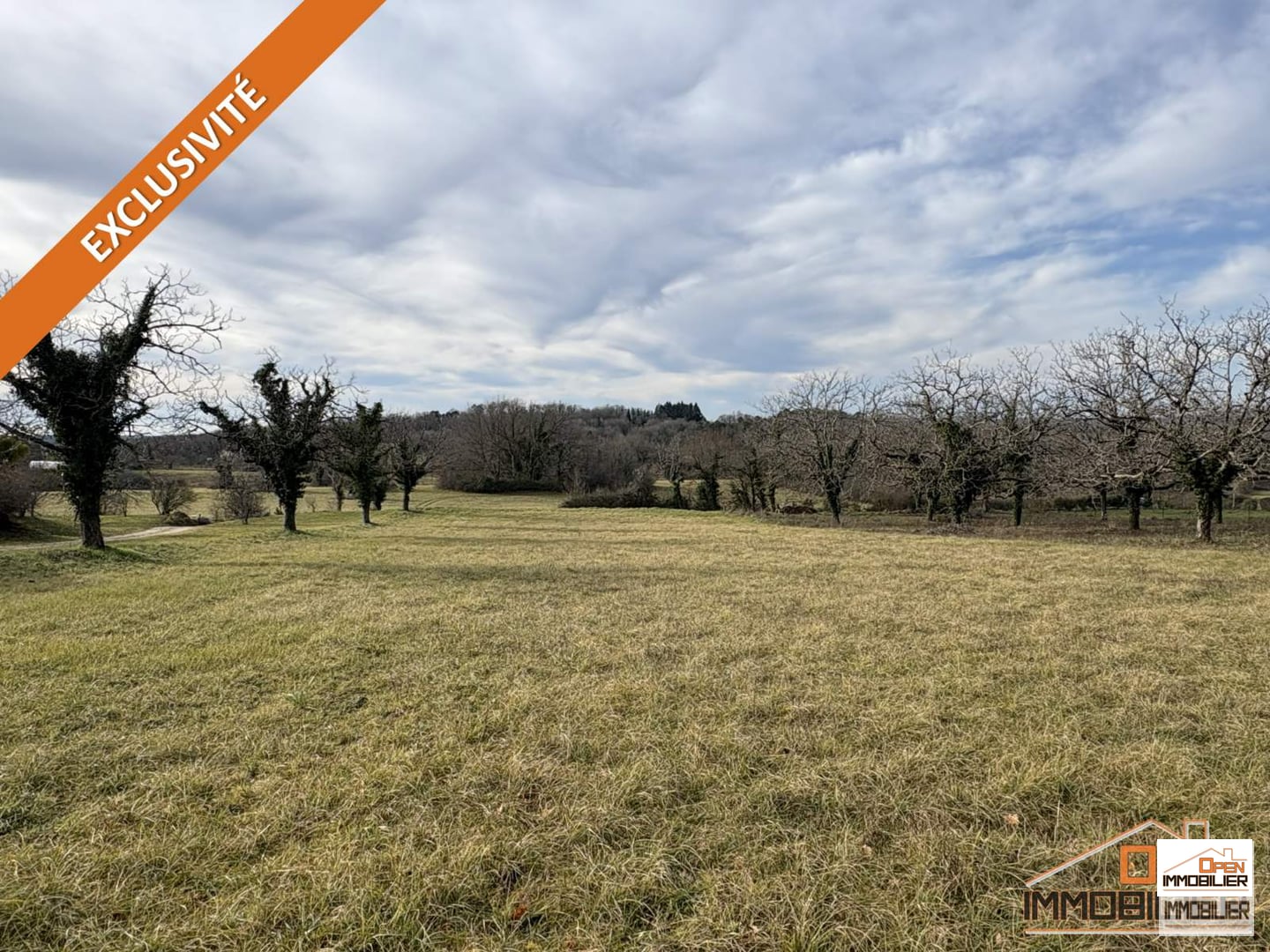 Terrain à bâtir 3 767m²