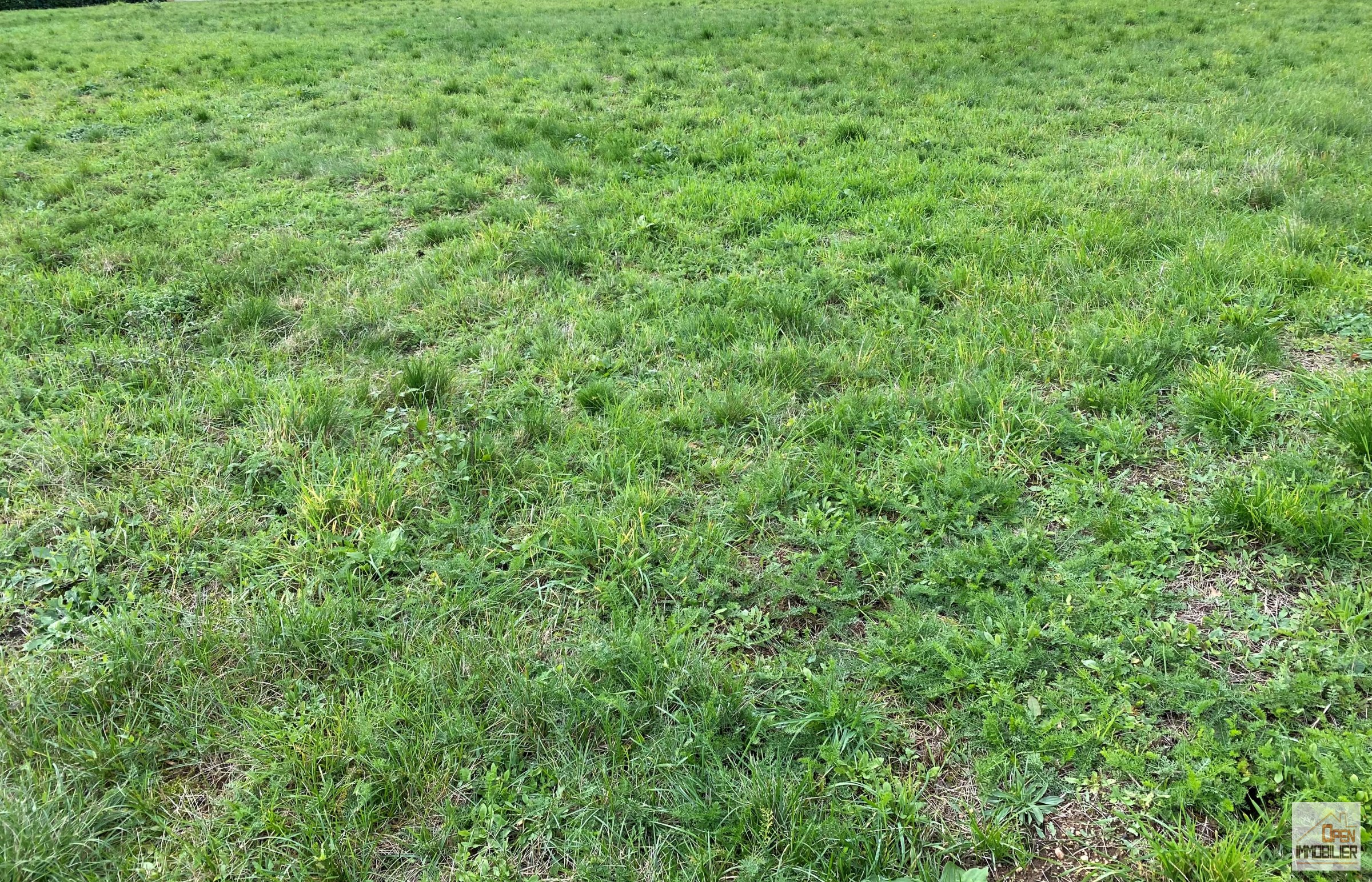 GORRE – TERRAIN VIABILISE 1100 m2 – 40 000 €