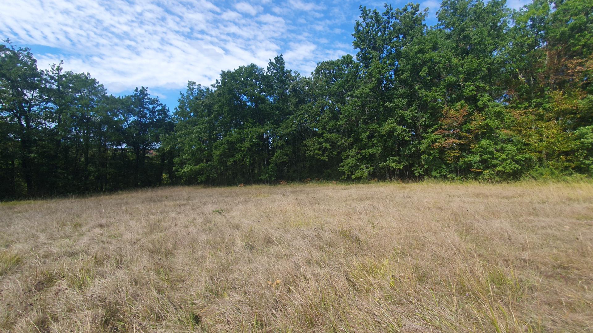 MAGNIFIQUE TERRAIN CONSTRUCTIBLE AVEC PARTIE BOISÉE, NON CONSTRUCTIBLE AU CALME IDÉALEMENT PLACÉ NON LOIN DE SAINT-ANDRÉ-D&rsquo;ALLAS (24200)