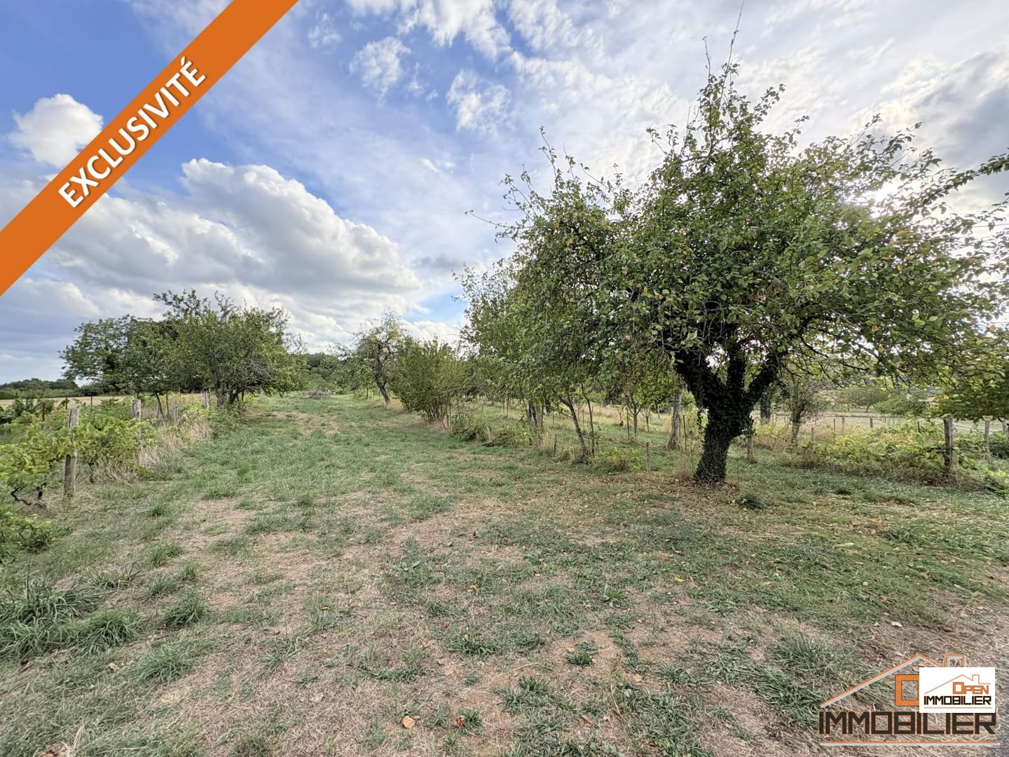 Terrain à bâtir 4 028m²