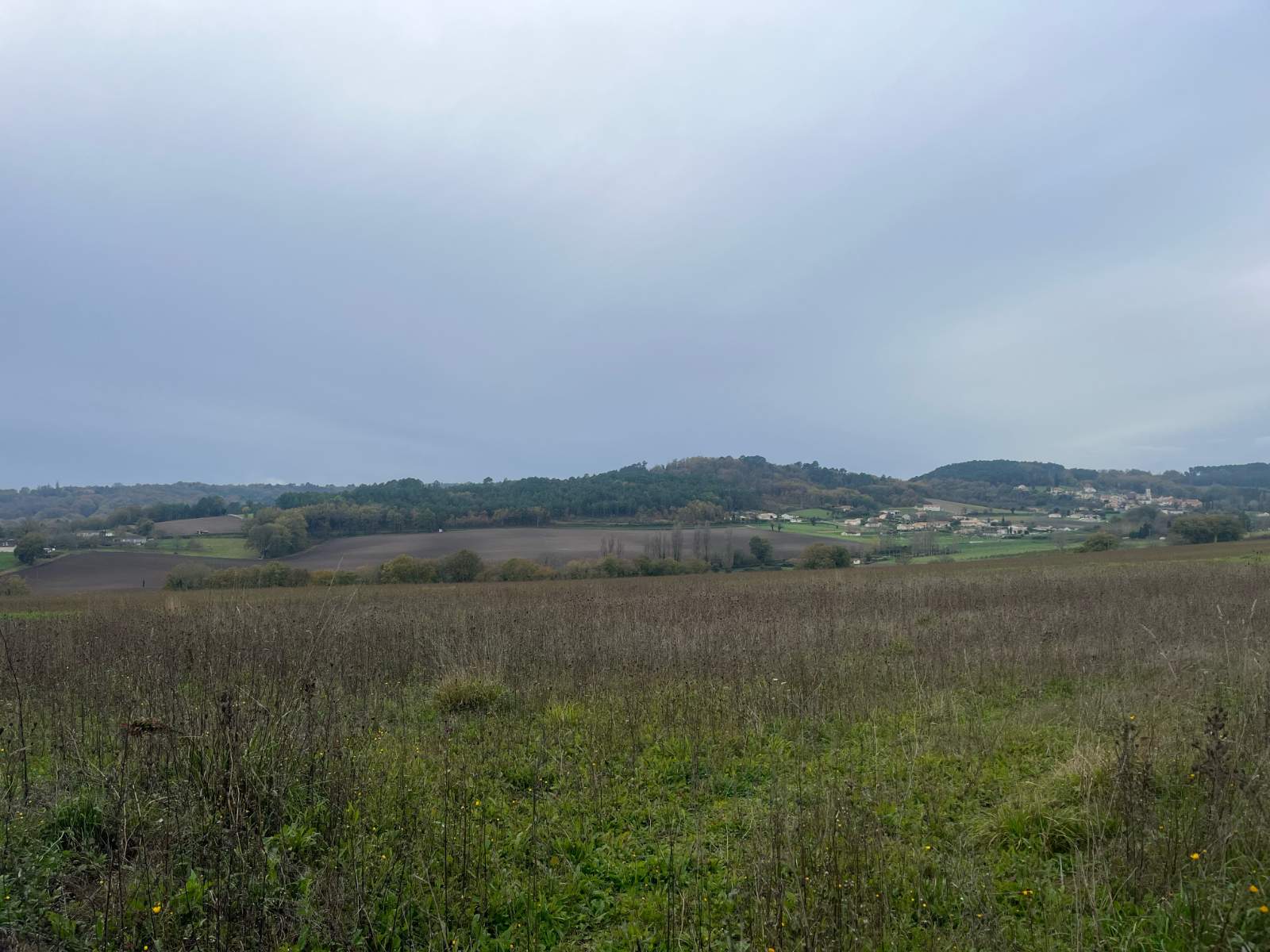 À vendre – Terrain viabilisé de 2 482 m² Léguillac-de-l’Auche (24110)