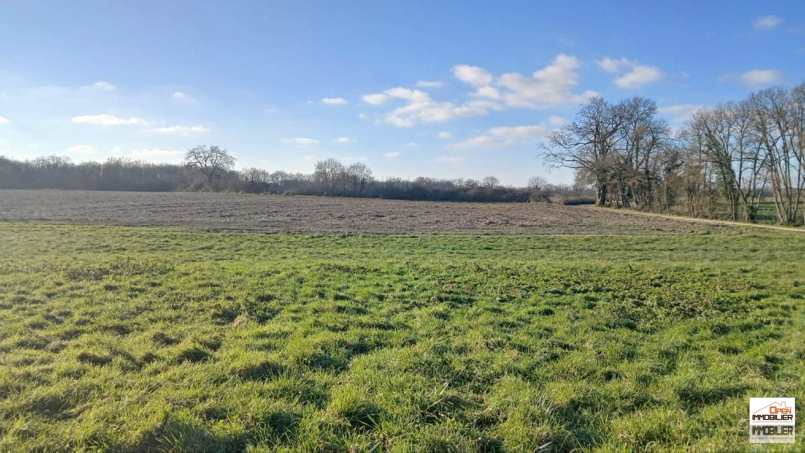 Terrain constructible