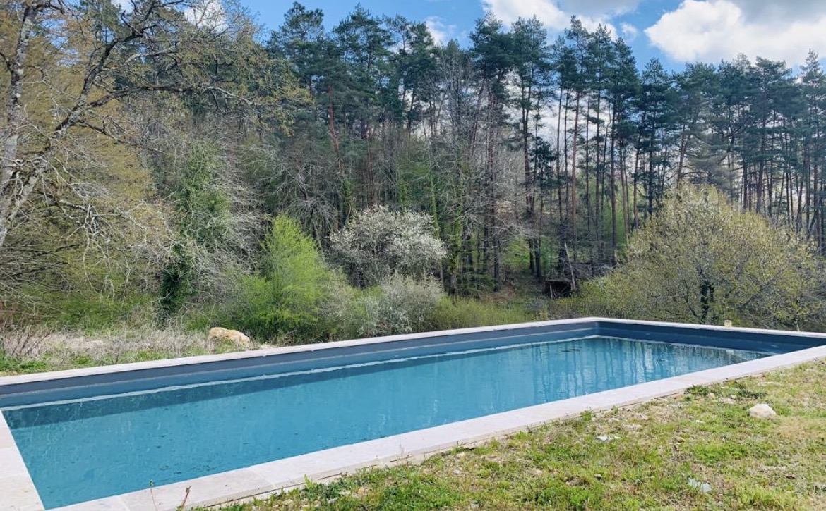 Photo 3 - Maison avec studio et piscine