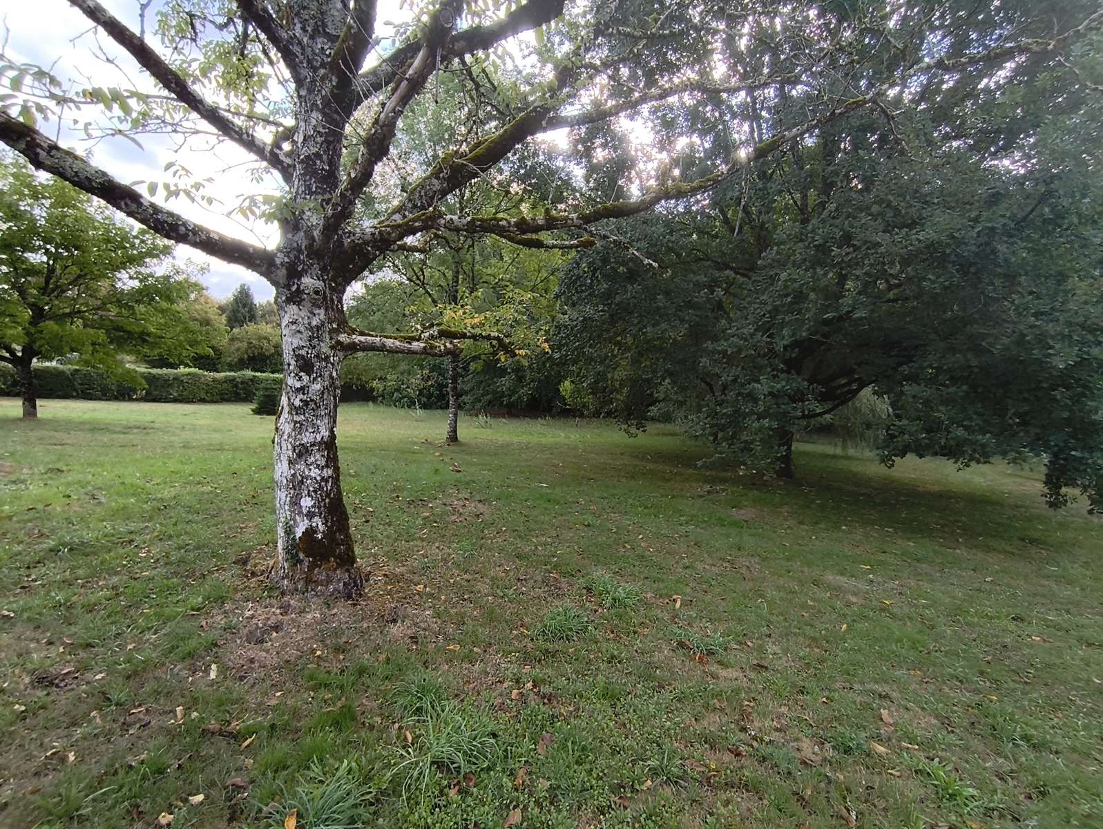 Photo 41 - Propriété familiale avec parc arboré – Estivaux