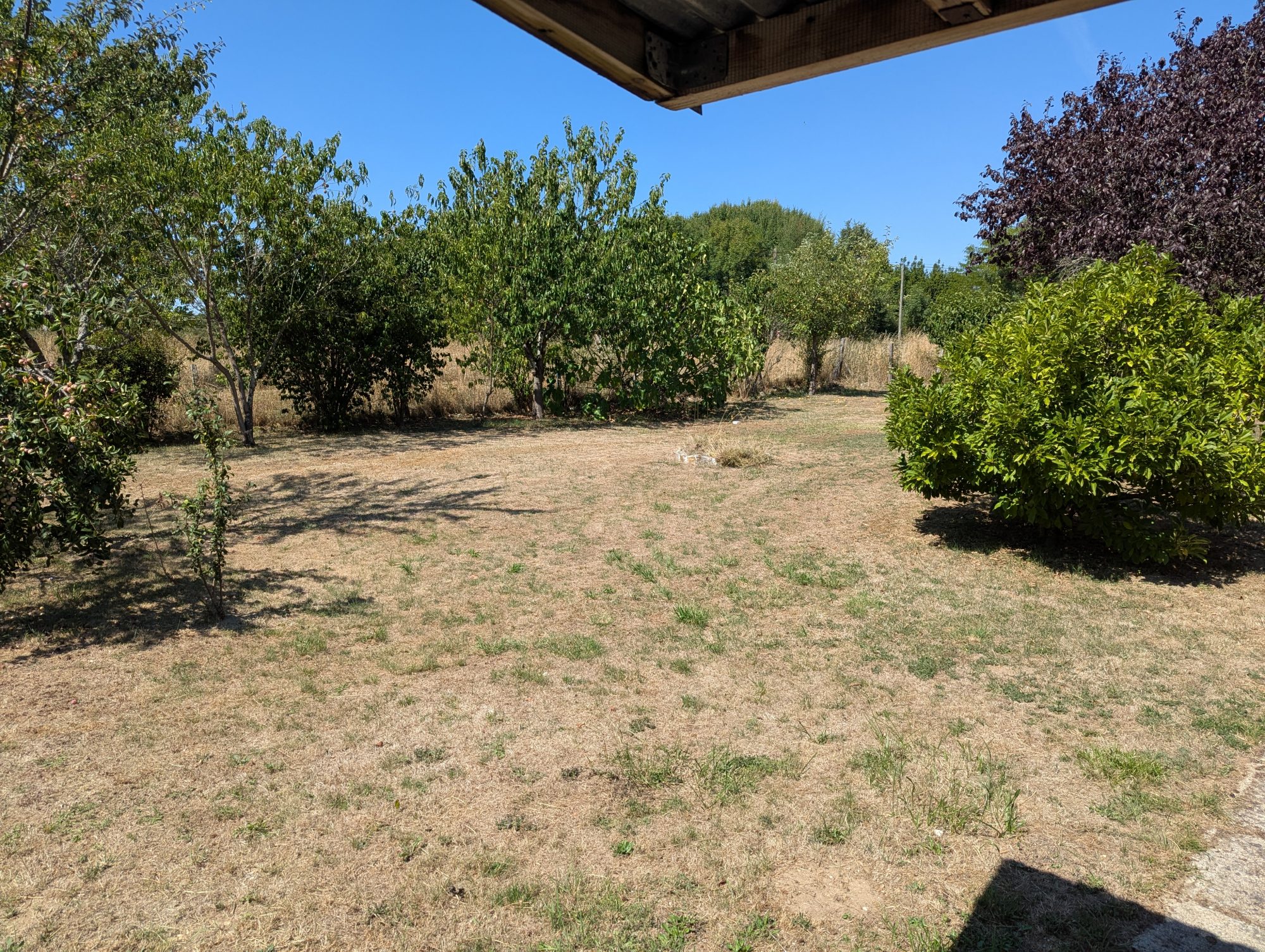 Photo 3 - Charmante maison de campagne rénovée !
