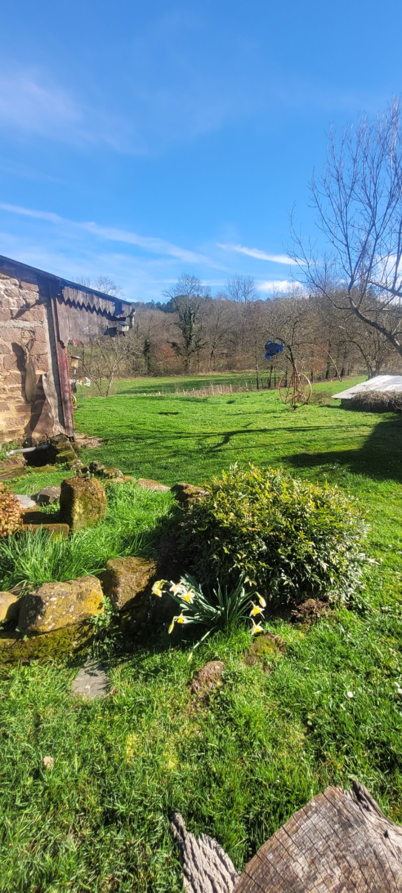 Photo 42 - Propriété : maison et dépendances sur 3200m2 de terrain