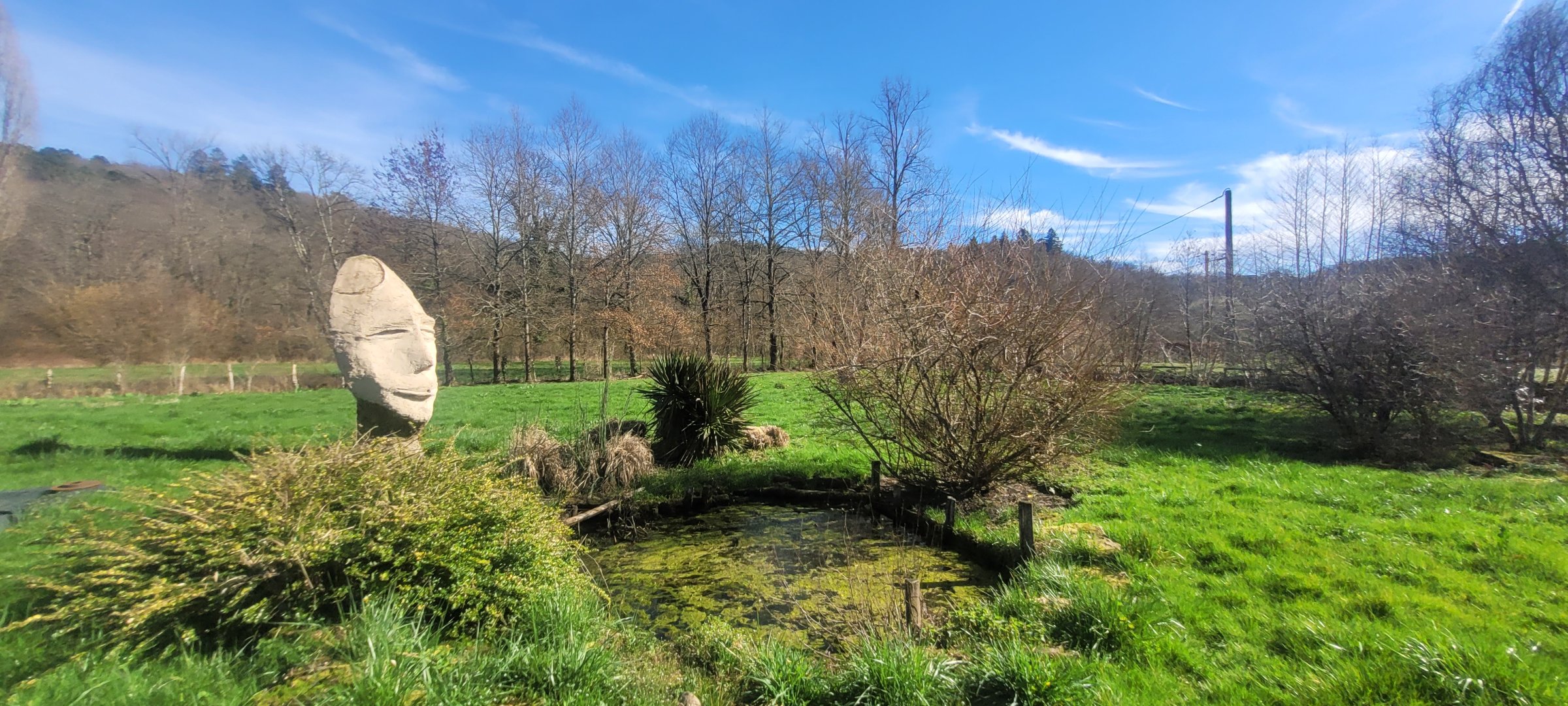 Photo 44 - Propriété : maison et dépendances sur 3200m2 de terrain