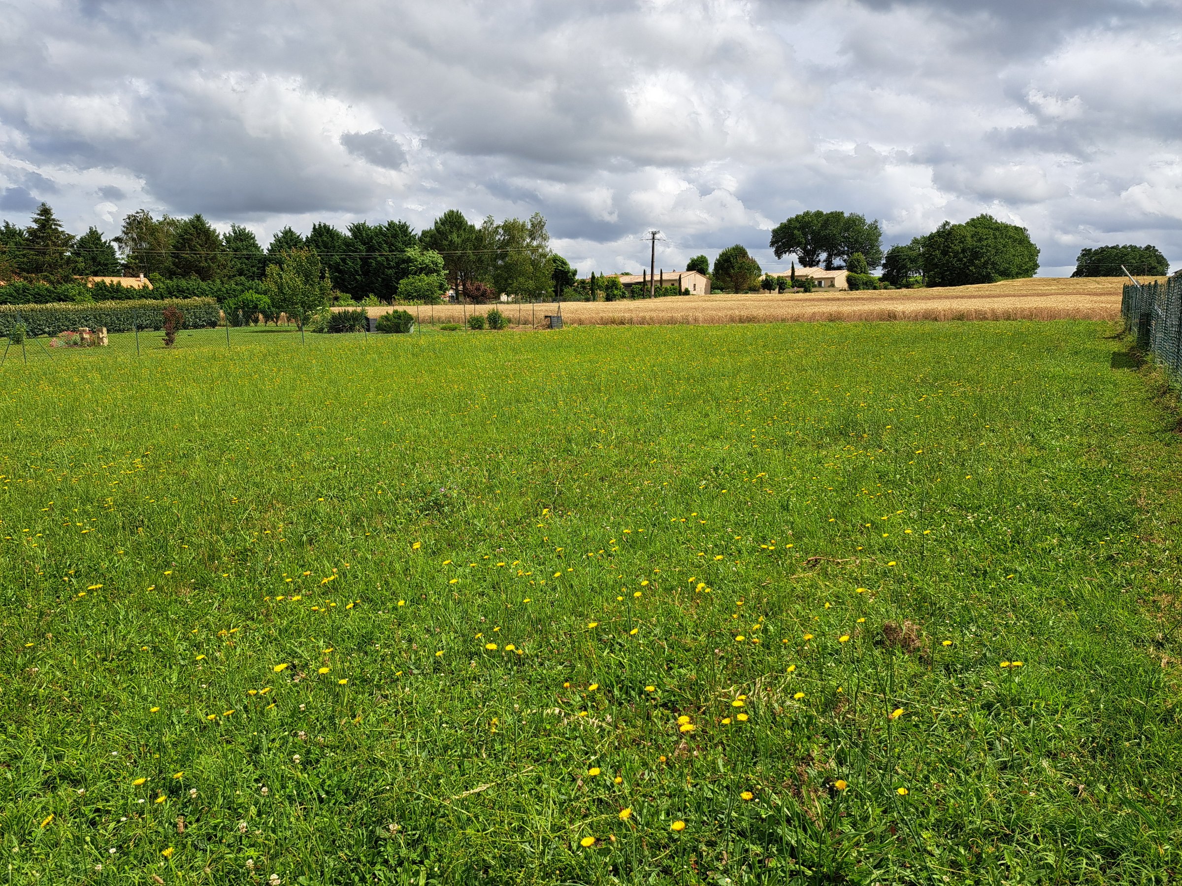 Photo 2 - TERRAIN A BÂTIR – 1337 m²