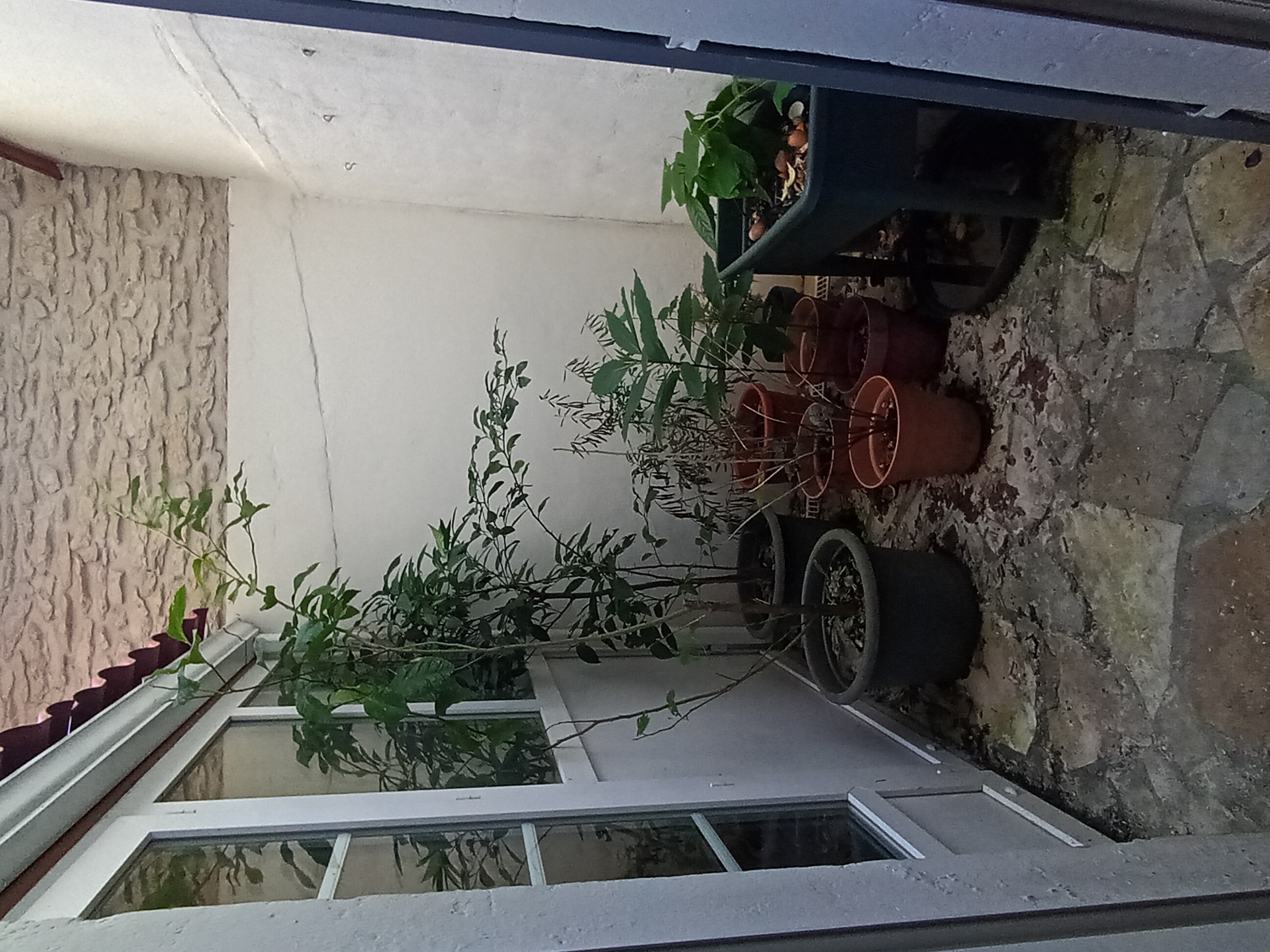 Photo 4 - MAISON DE VILLE