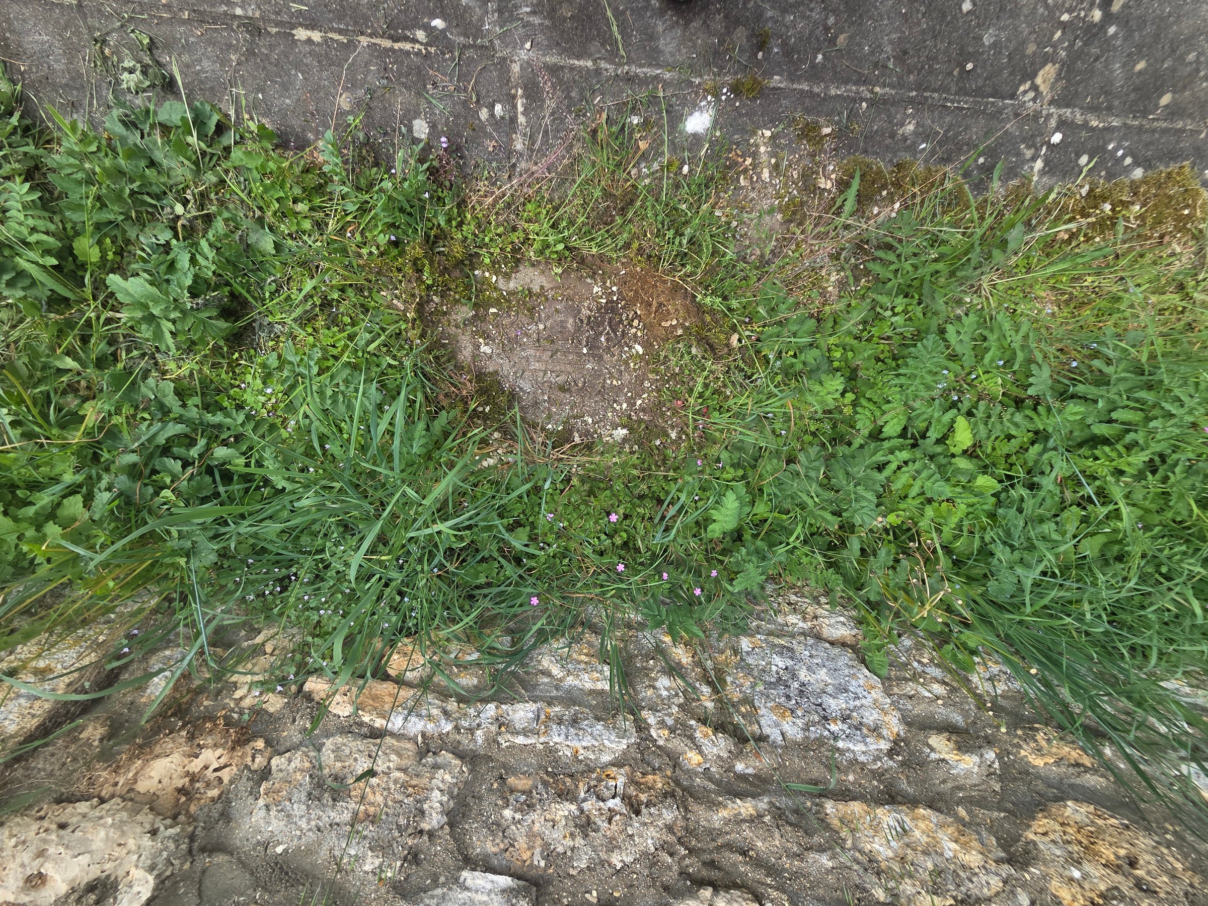 Photo 18 - Ancienne maison
