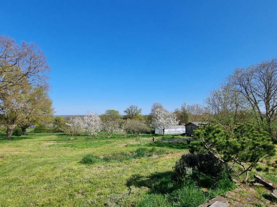 Photo 19 - Propriété en campagne !