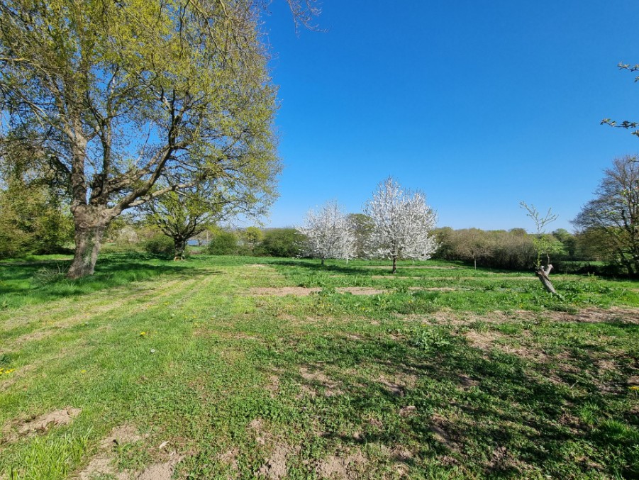 Photo 20 - Propriété en campagne !