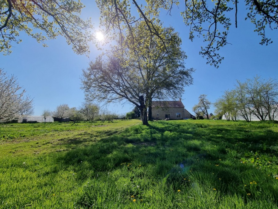 Photo 21 - Propriété en campagne !