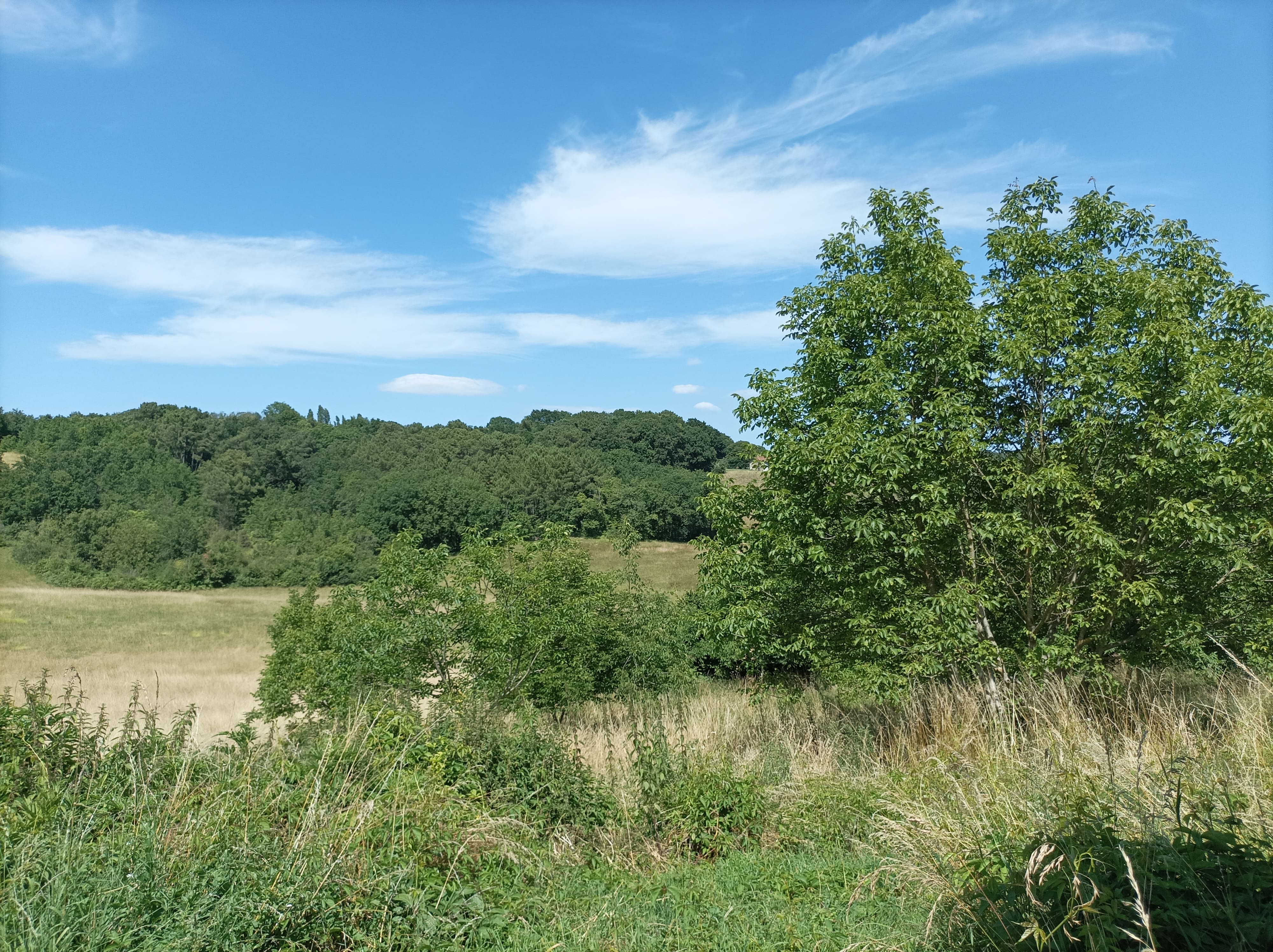 Photo 4 - Grange avec CU