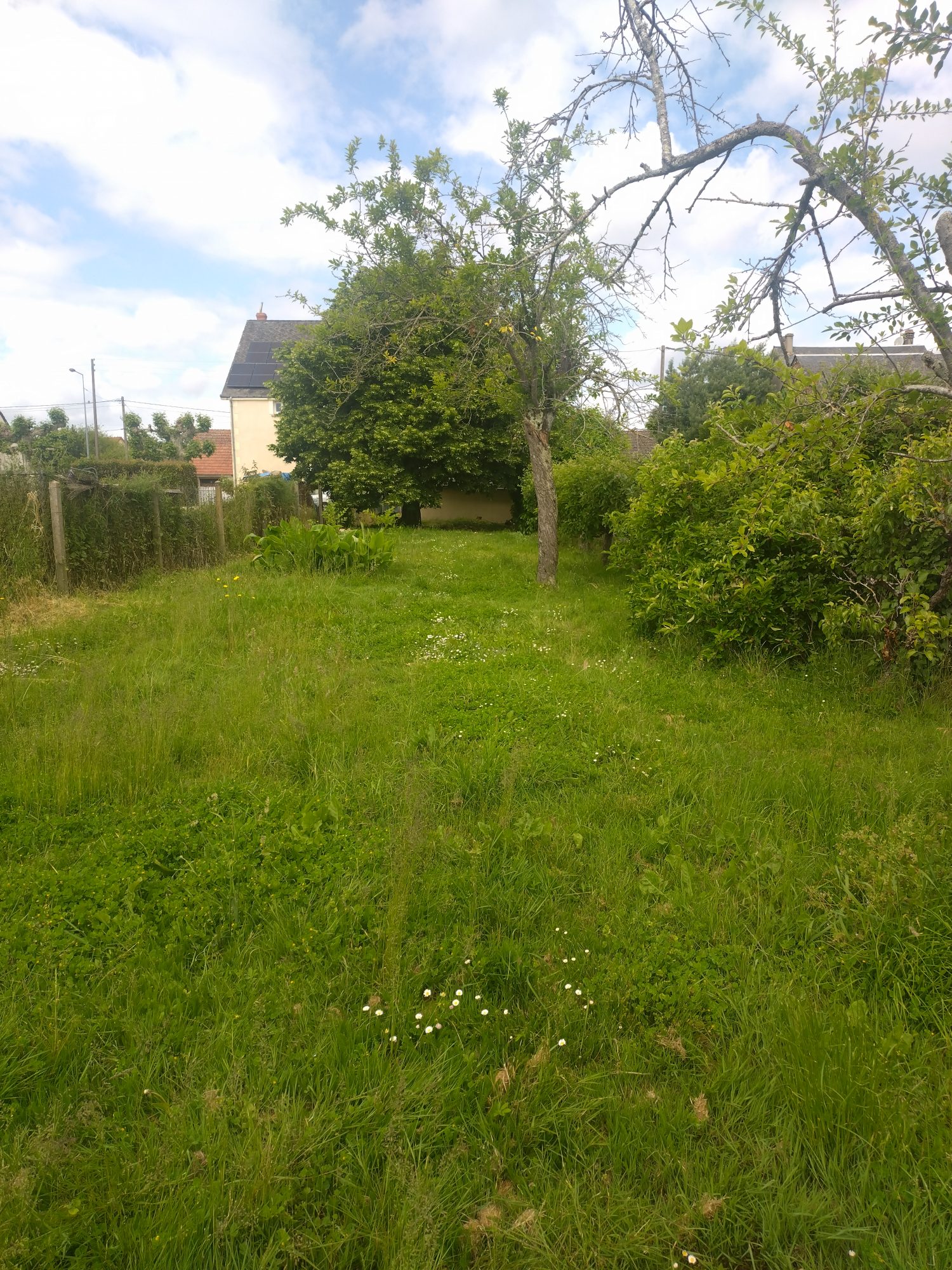 Photo 4 - Maison de ville avec jardin et garage !
