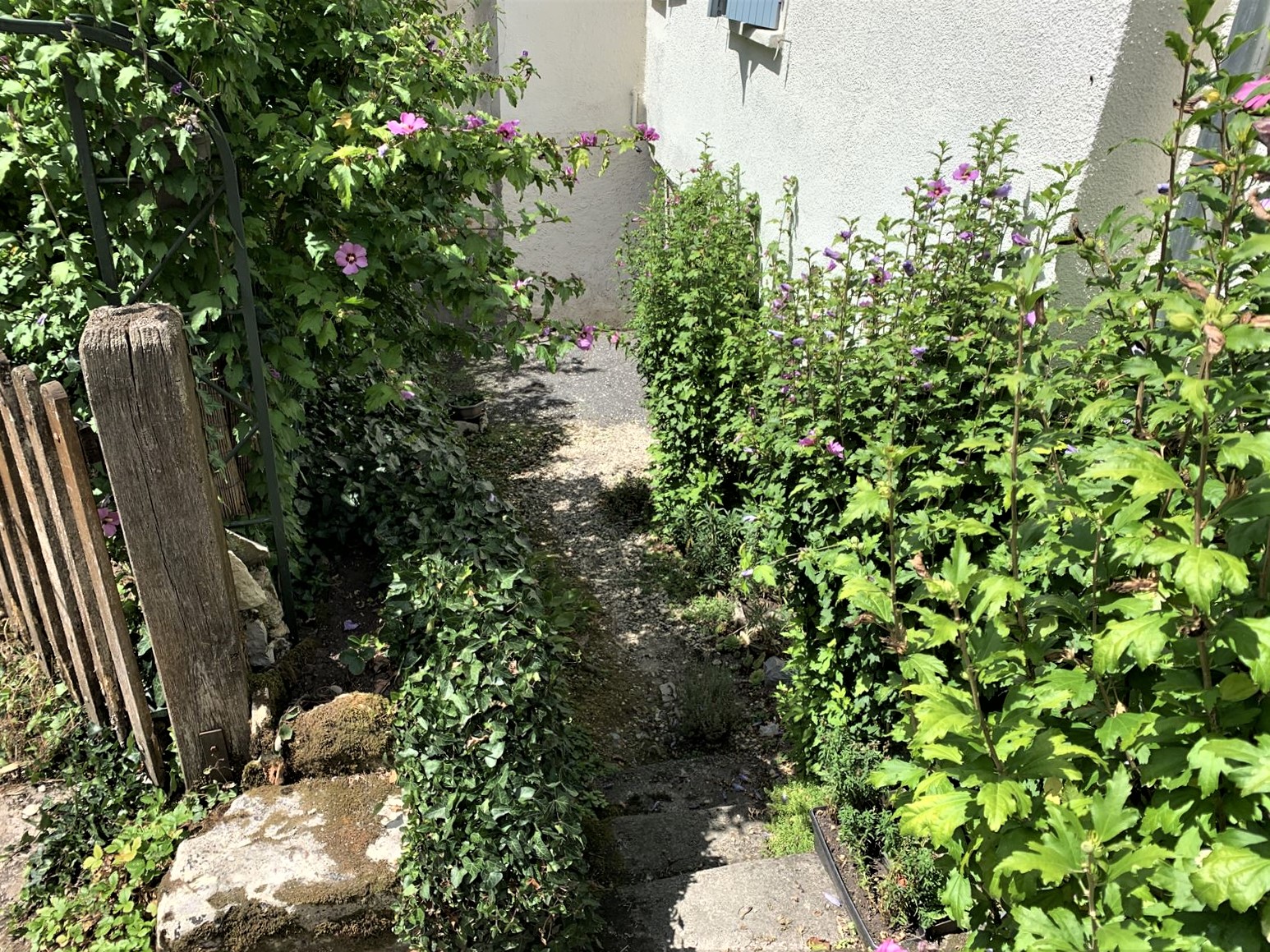 Photo 9 - Maisons mitoyennes
