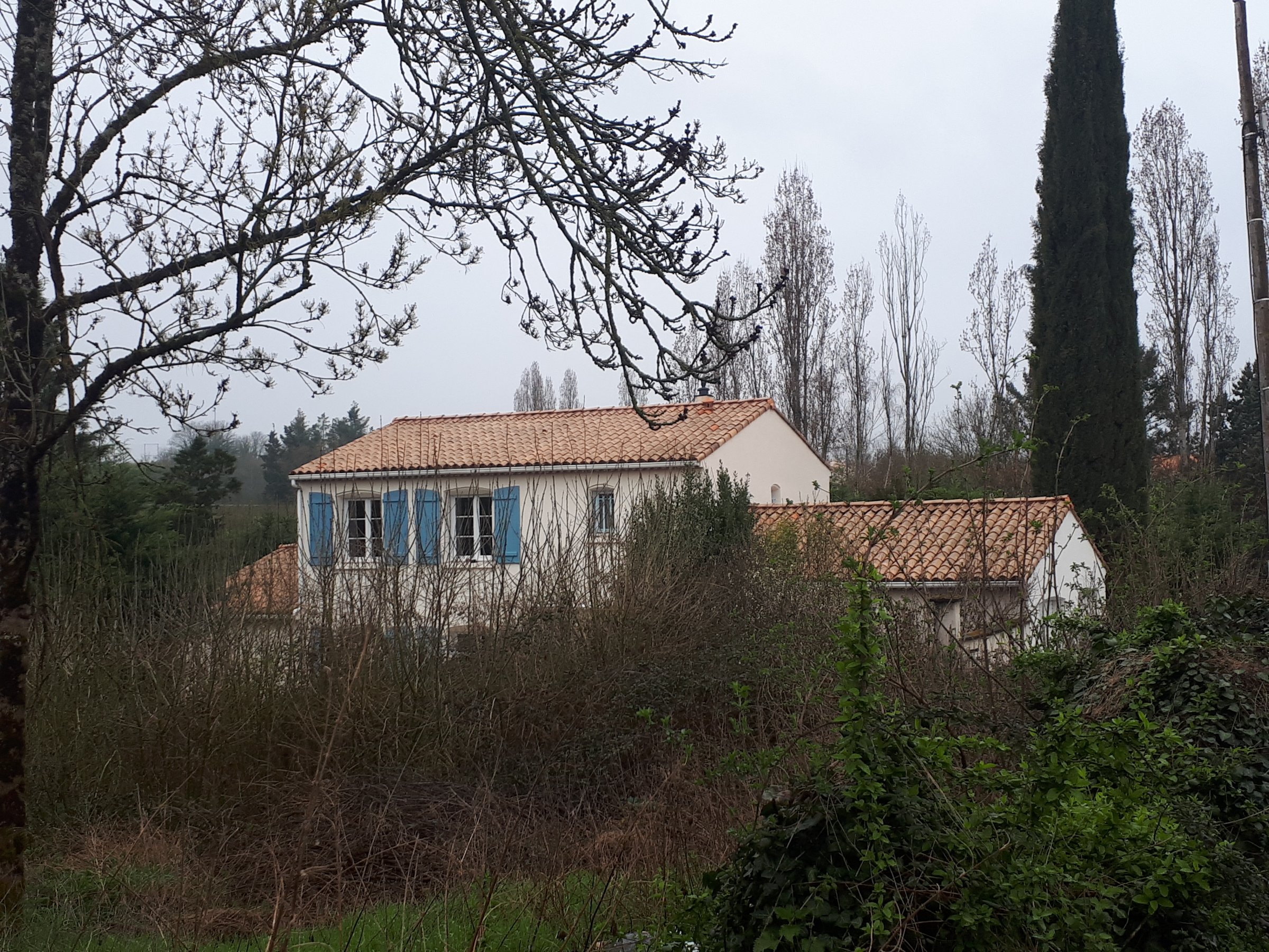 Photo 27 - Superbe maison d&rsquo;architecte avec jardin arboré et piscine