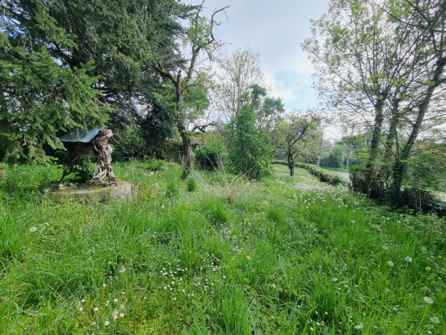 Photo 18 - Belle maison à rénover !