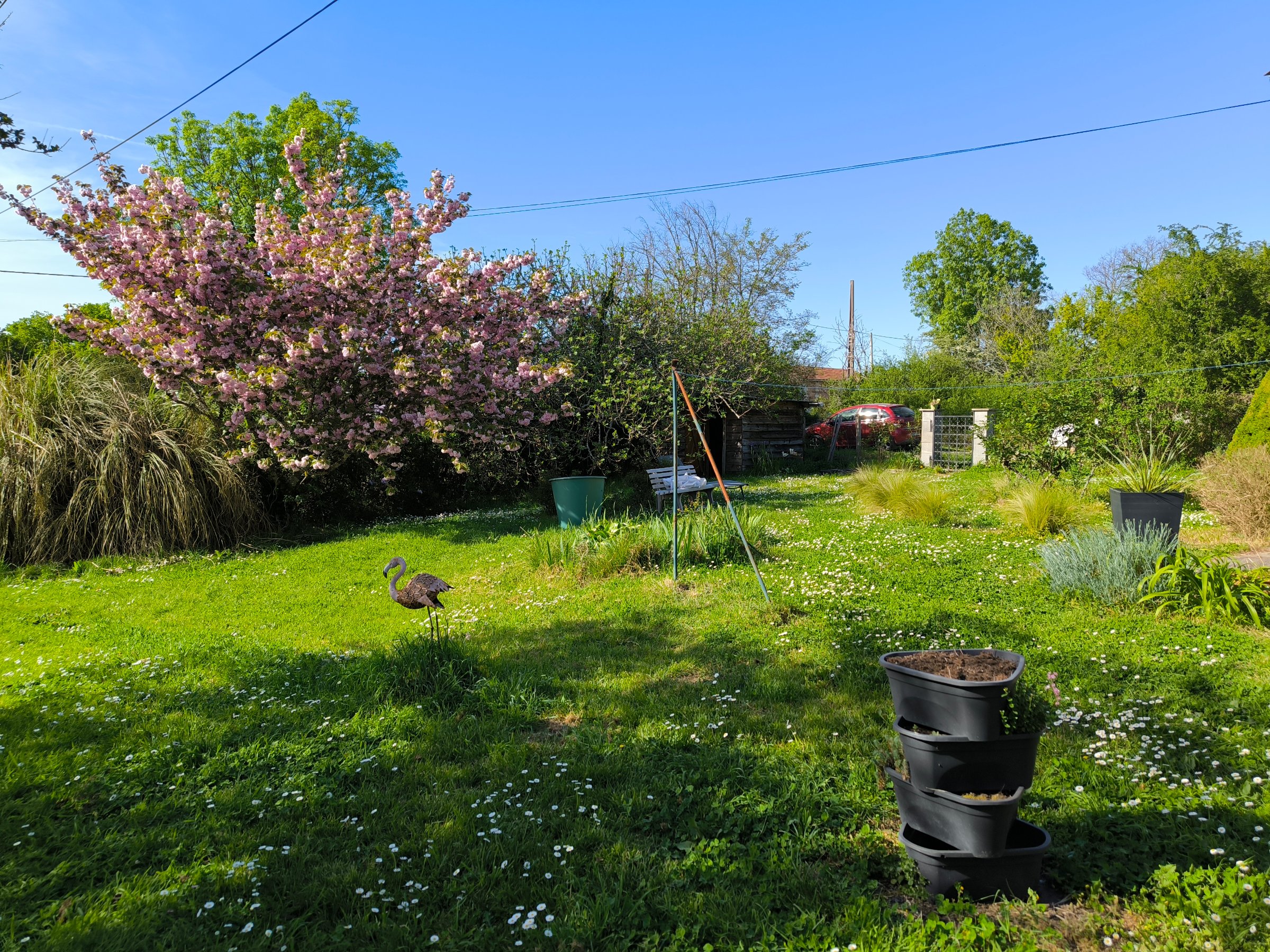 Photo 4 - Maison spéciale investissement locatif