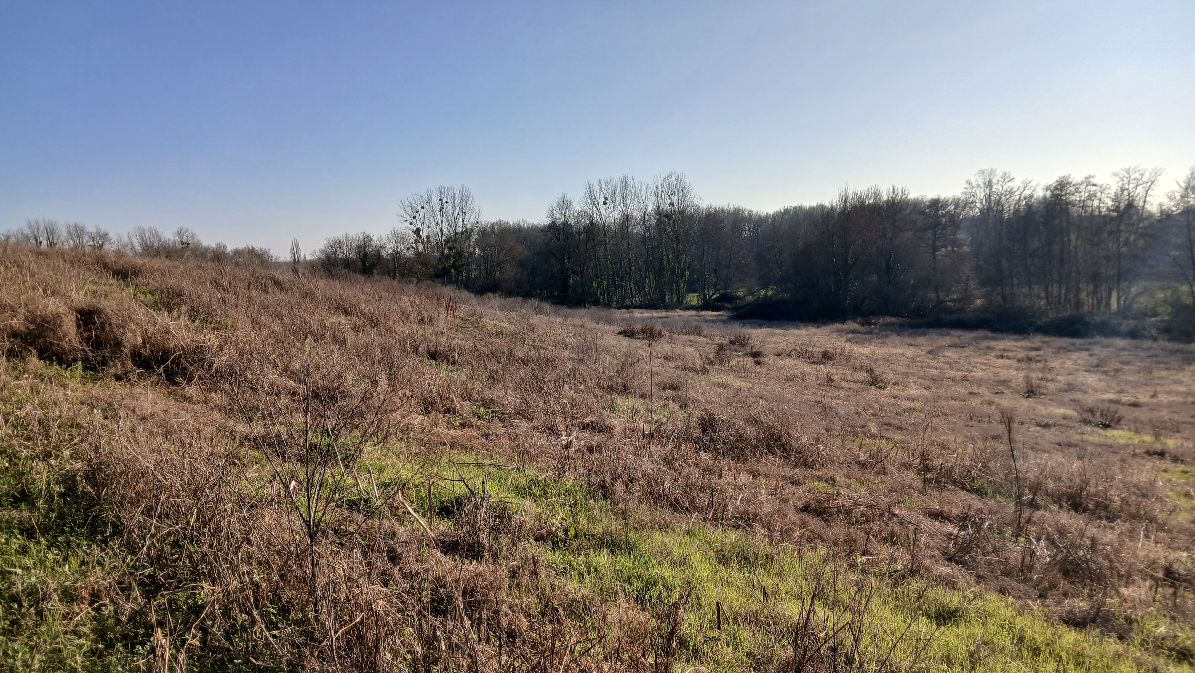 Photo 16 - Propriété 22 ha, 2 maisons, étang, ruisseau, sources