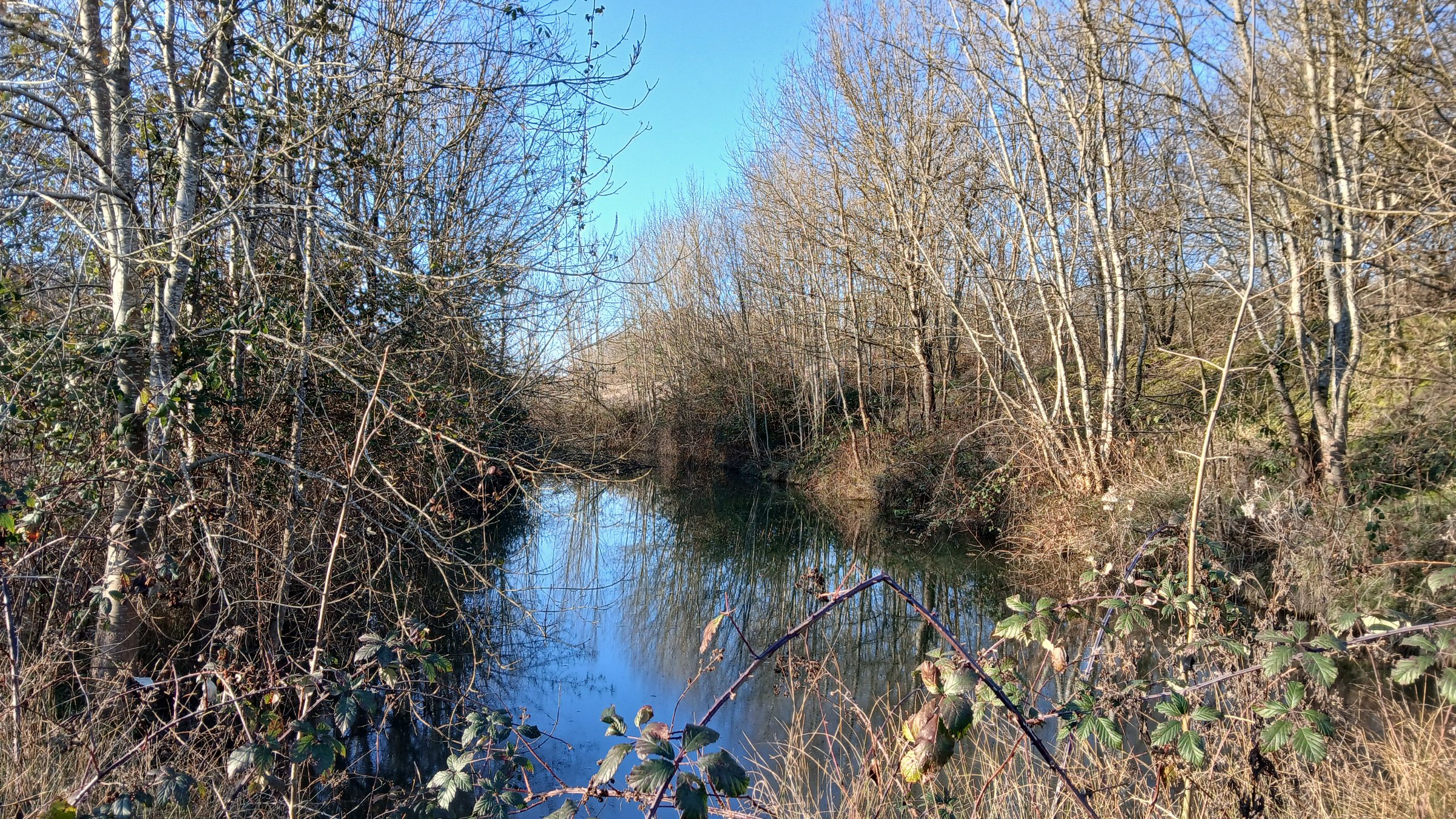 Photo 18 - Propriété 22 ha, 2 maisons, étang, ruisseau, sources