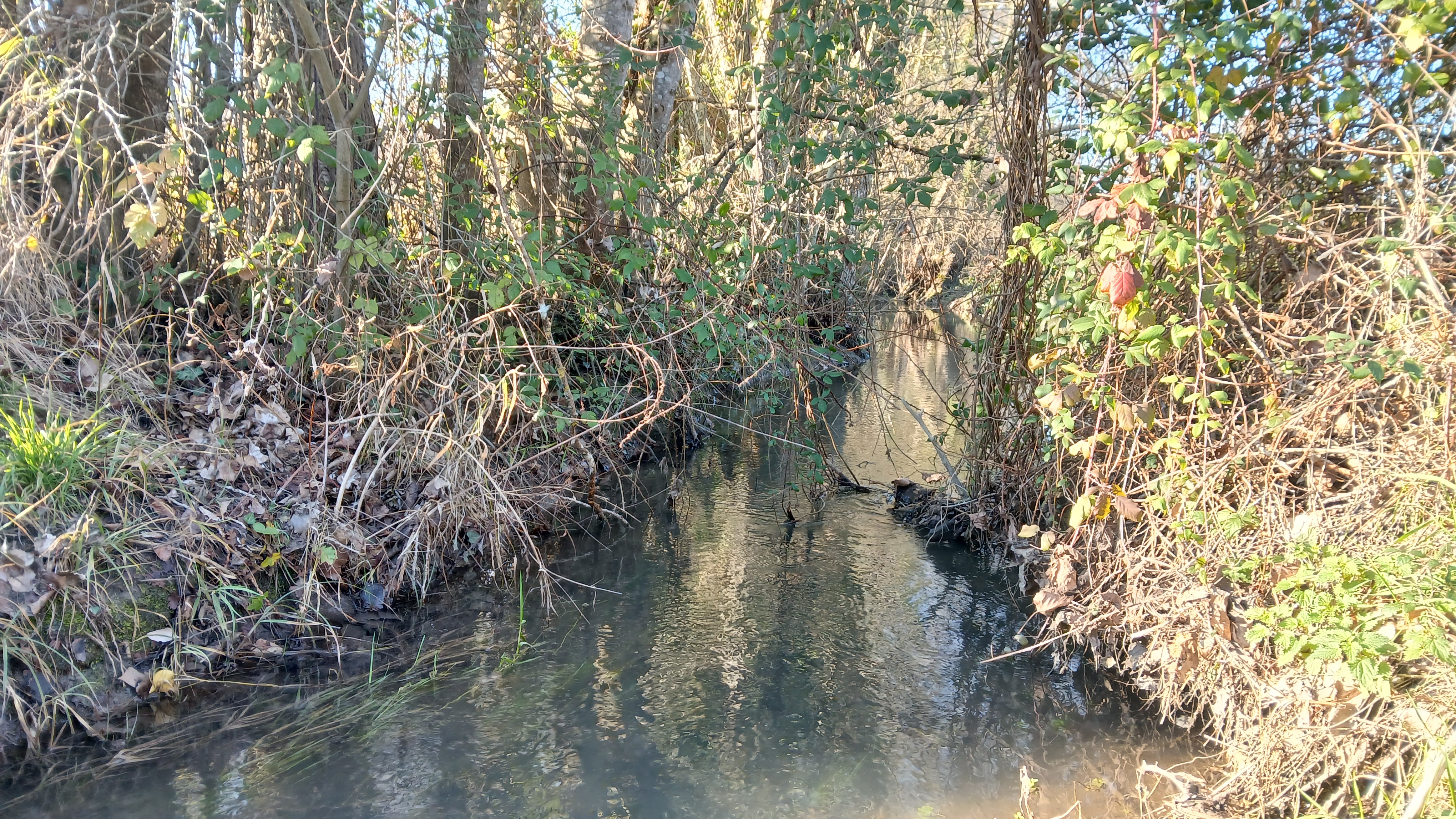 Propriété 22 ha, 2 maisons, étang, ruisseau, sources - Photo 2