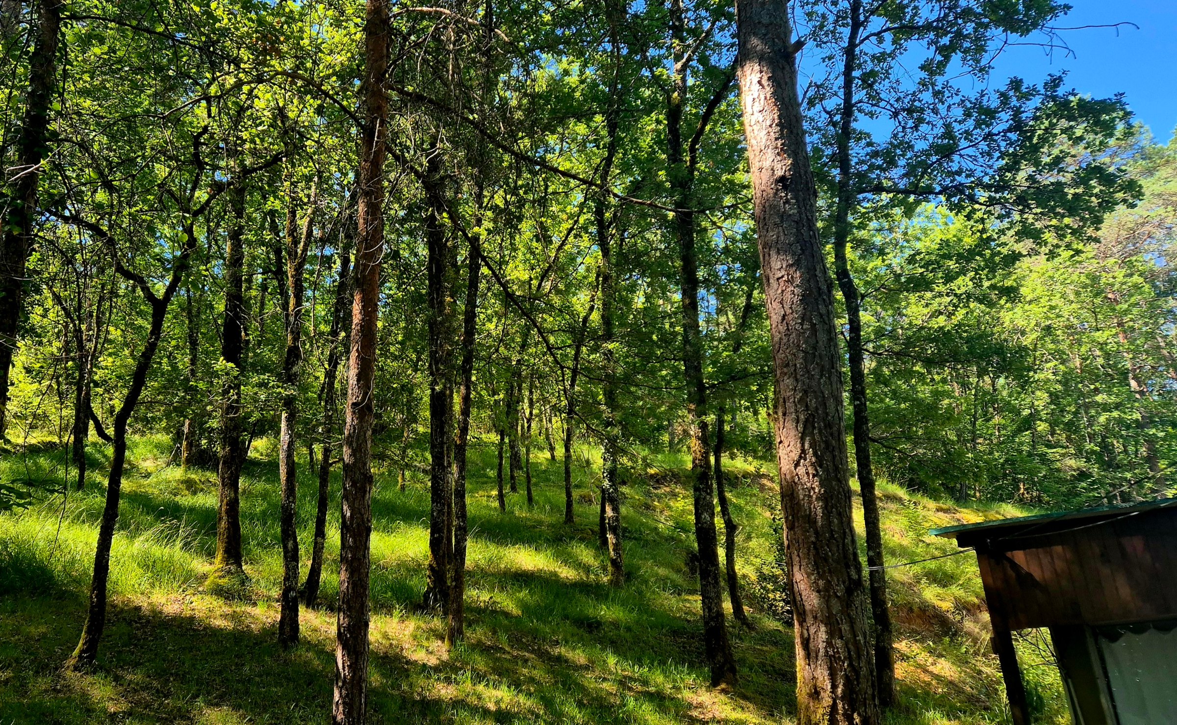 Photo 21 - CHARMANTE MAISON PÉRIGOURDINE AVEC VUE ET BOIS ET DÉPENDANCES