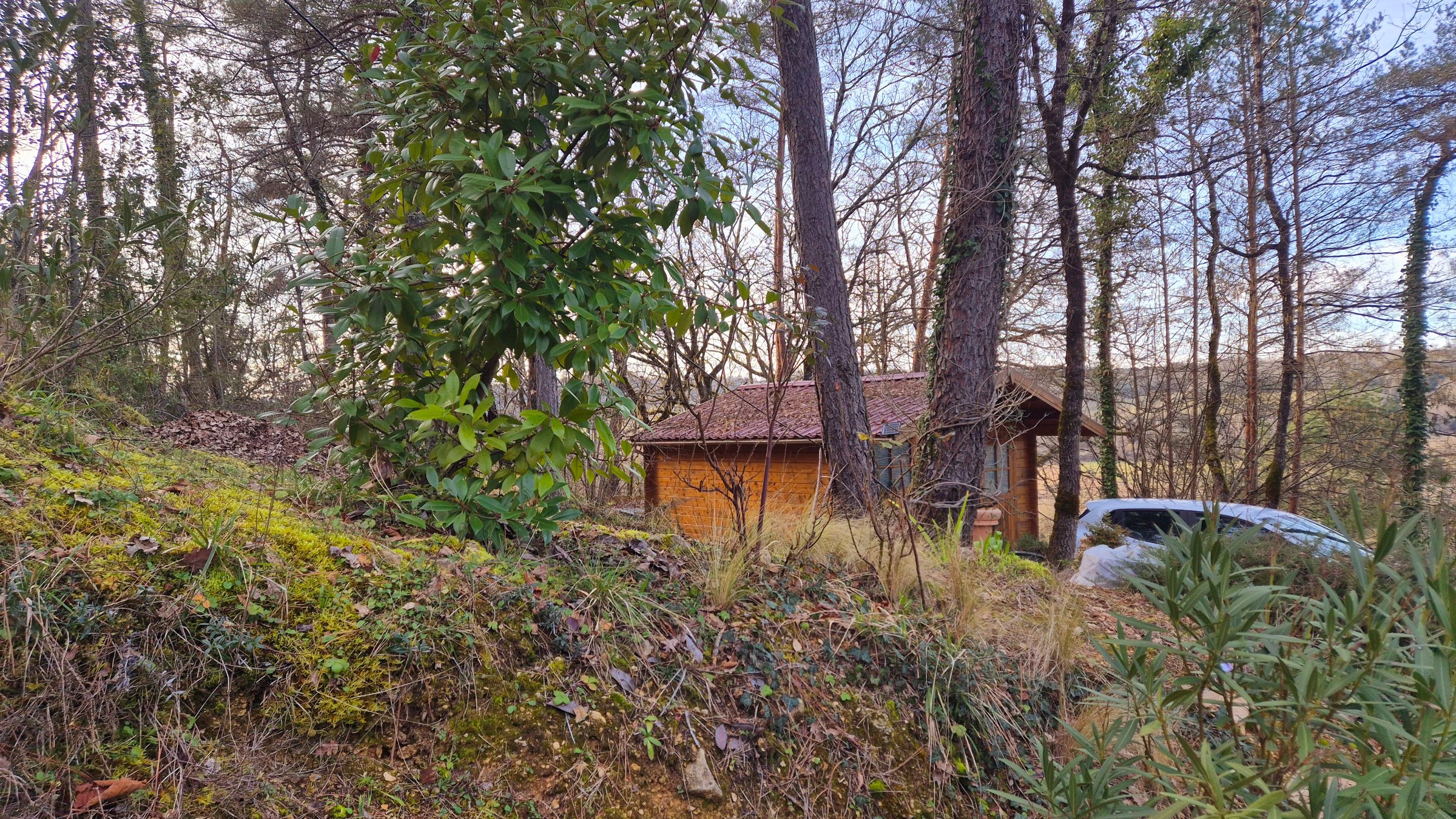 Photo 23 - CHARMANTE MAISON PÉRIGOURDINE AVEC VUE ET BOIS ET DÉPENDANCES