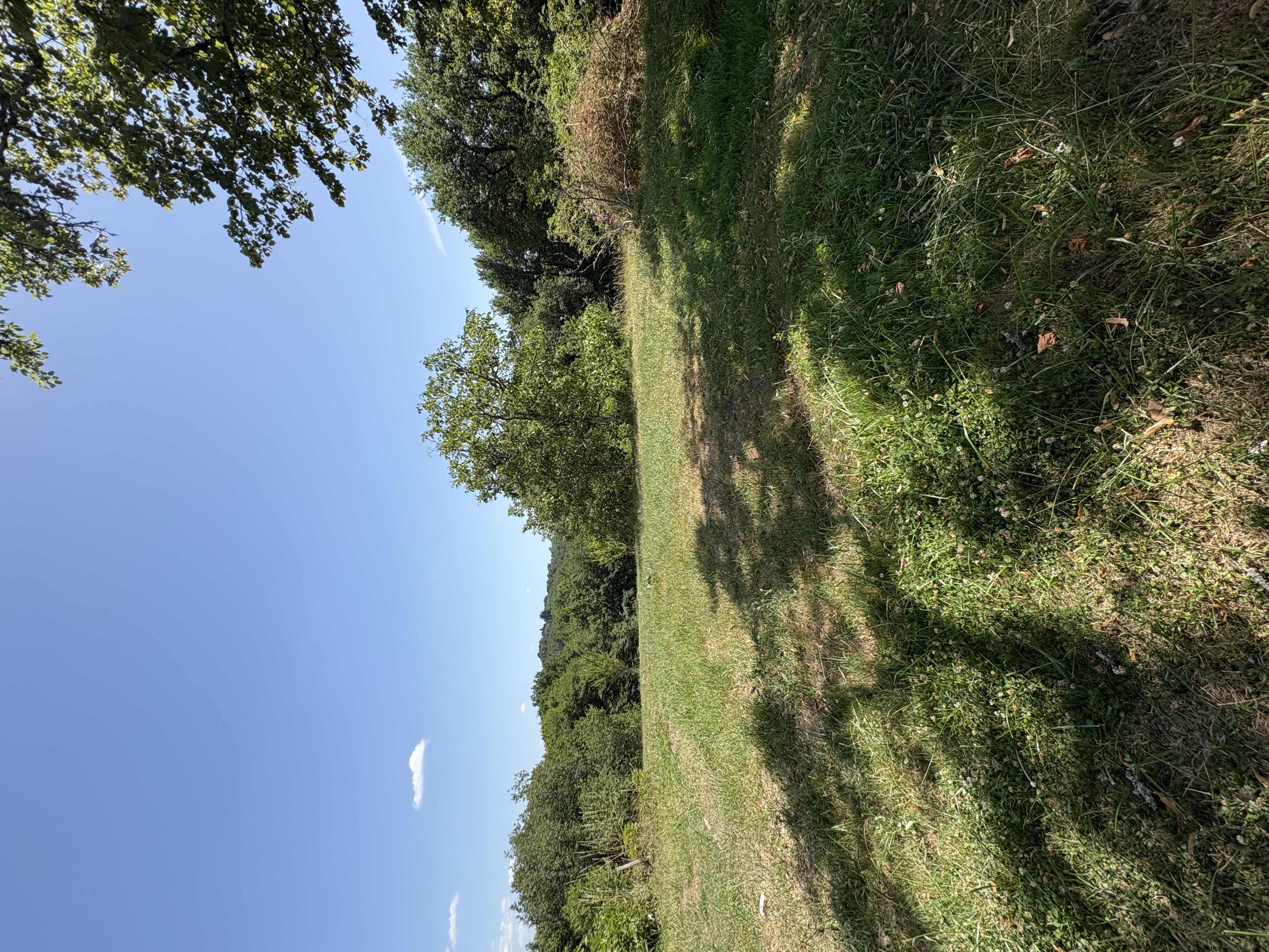 Photo 7 - Maison avec jardin