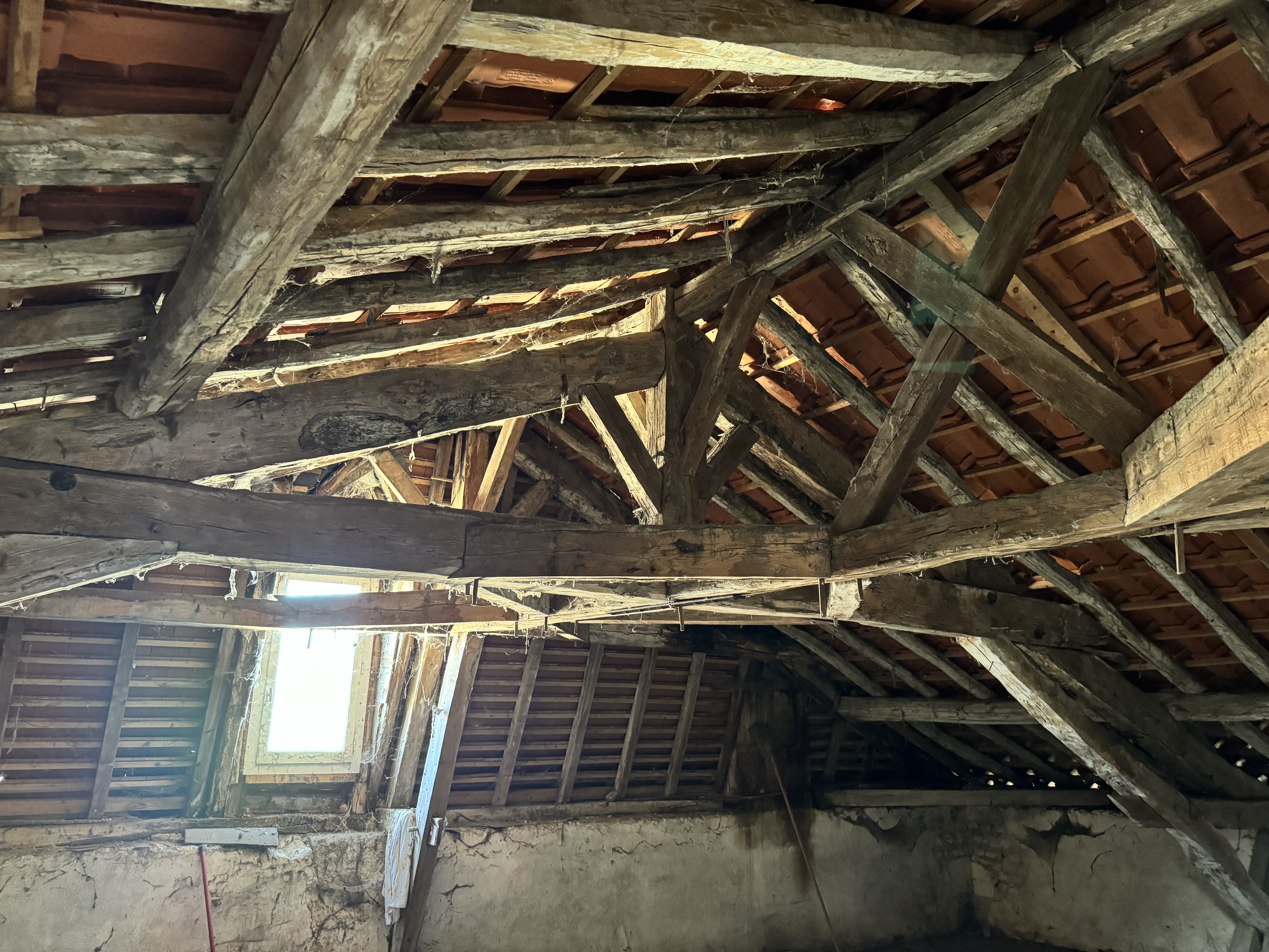 Photo 18 - Maison – 340 m² – Jardin 900 m²