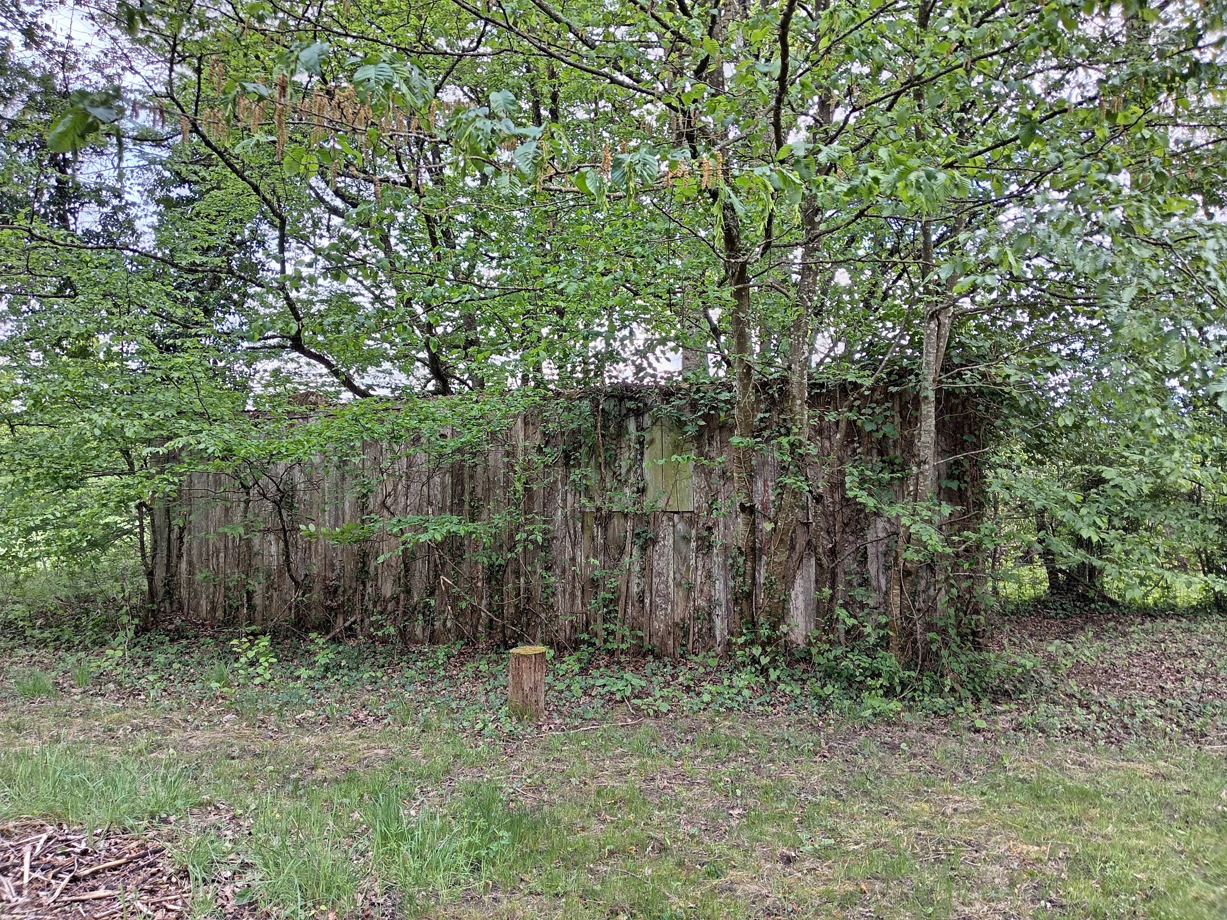 Photo 3 - maison de campagne