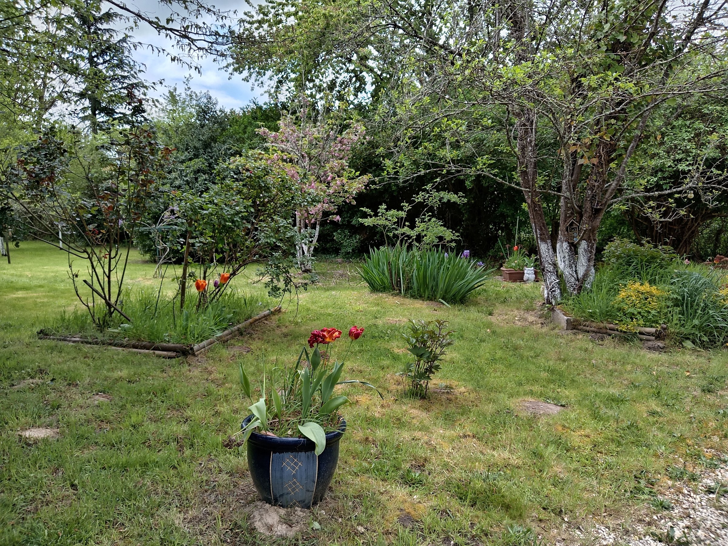 Photo 8 - maison de campagne
