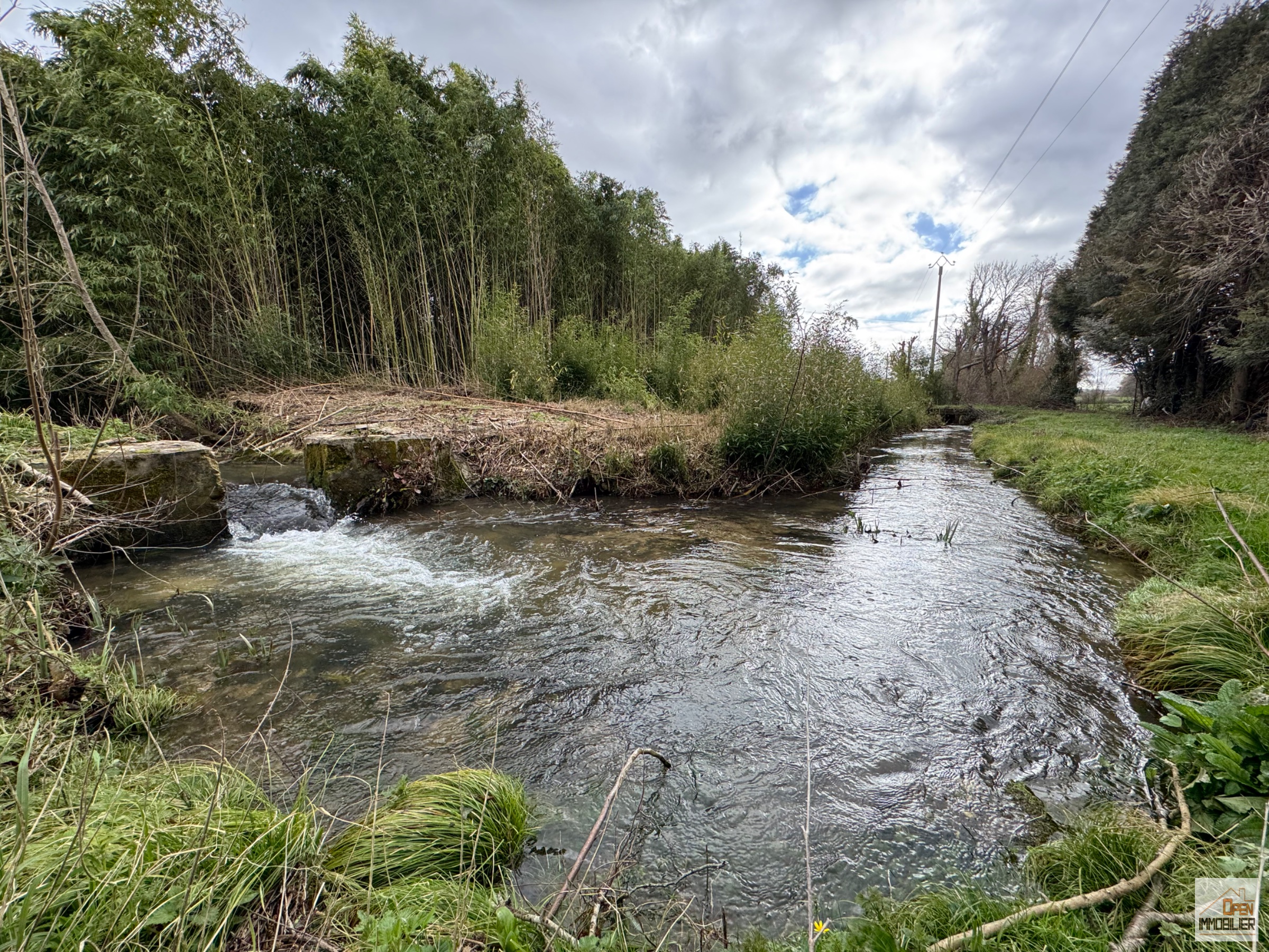 Maison 174 m² - Terrain 12 217 m² - Photo 3