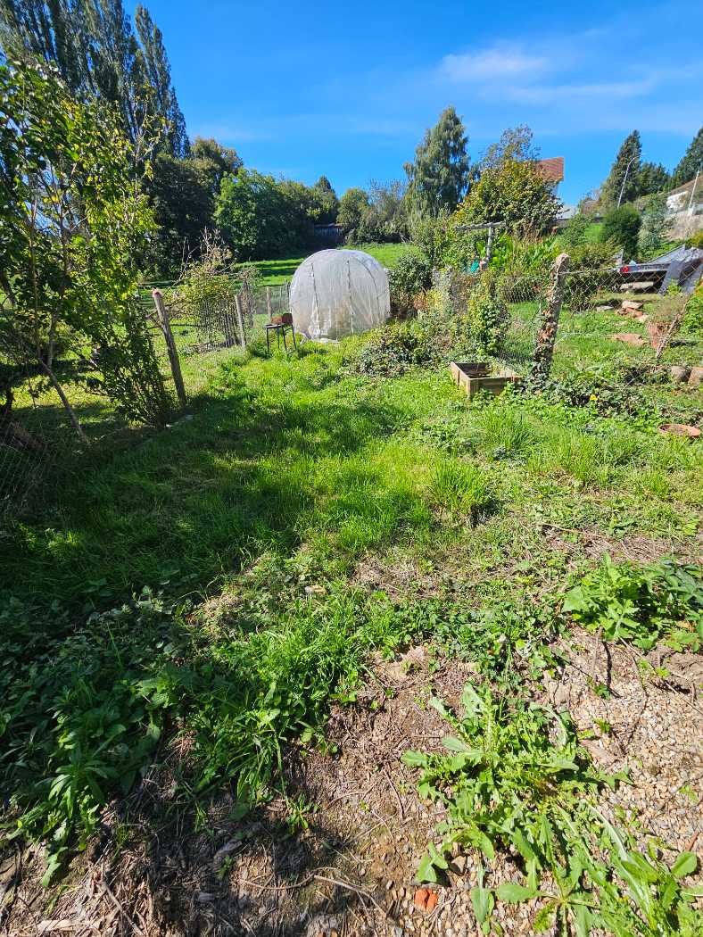 Photo 19 - Maison de bourg avec jardin