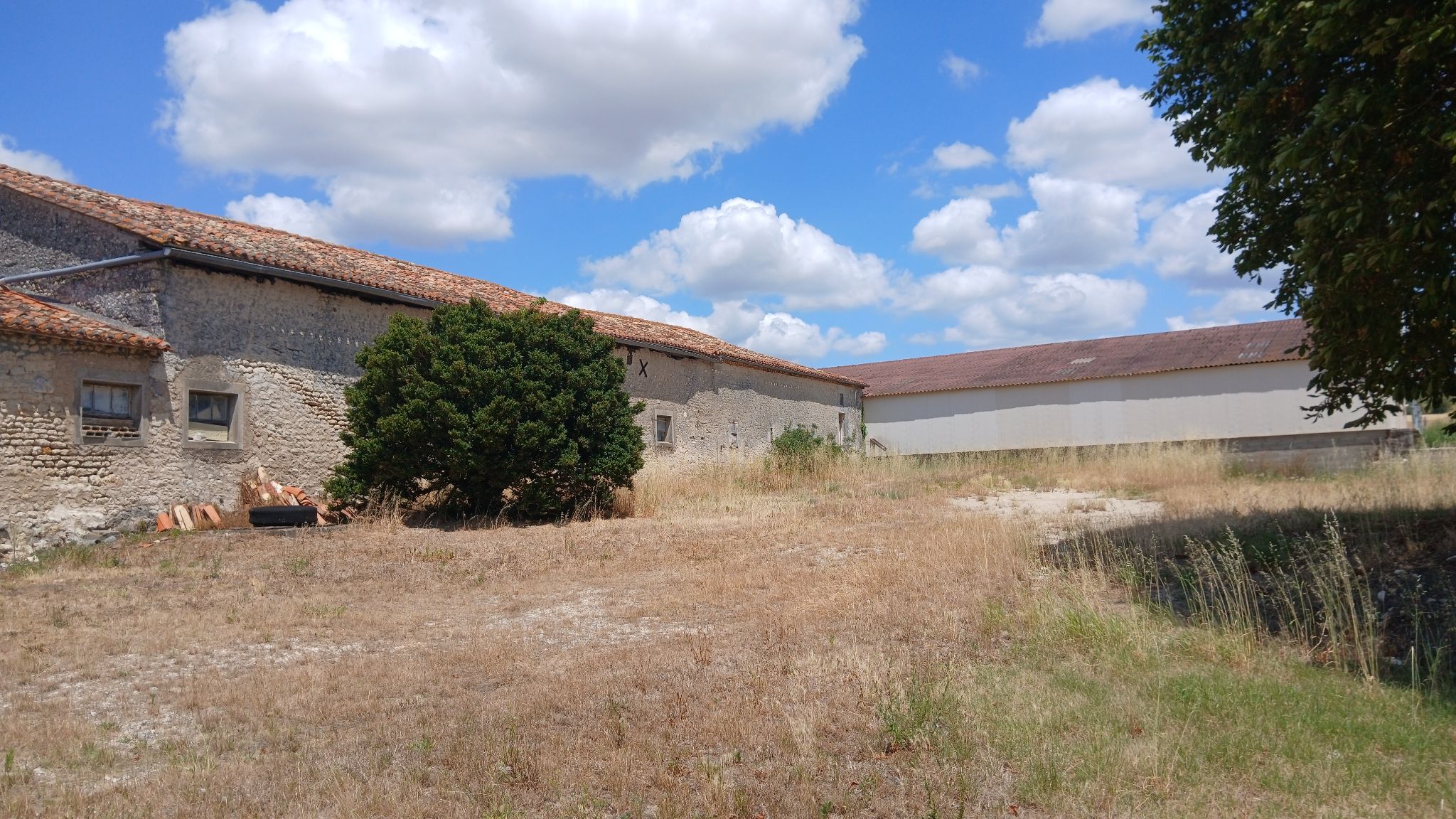 Photo 10 - Ancienne ferme, maison et grandes dépendances
