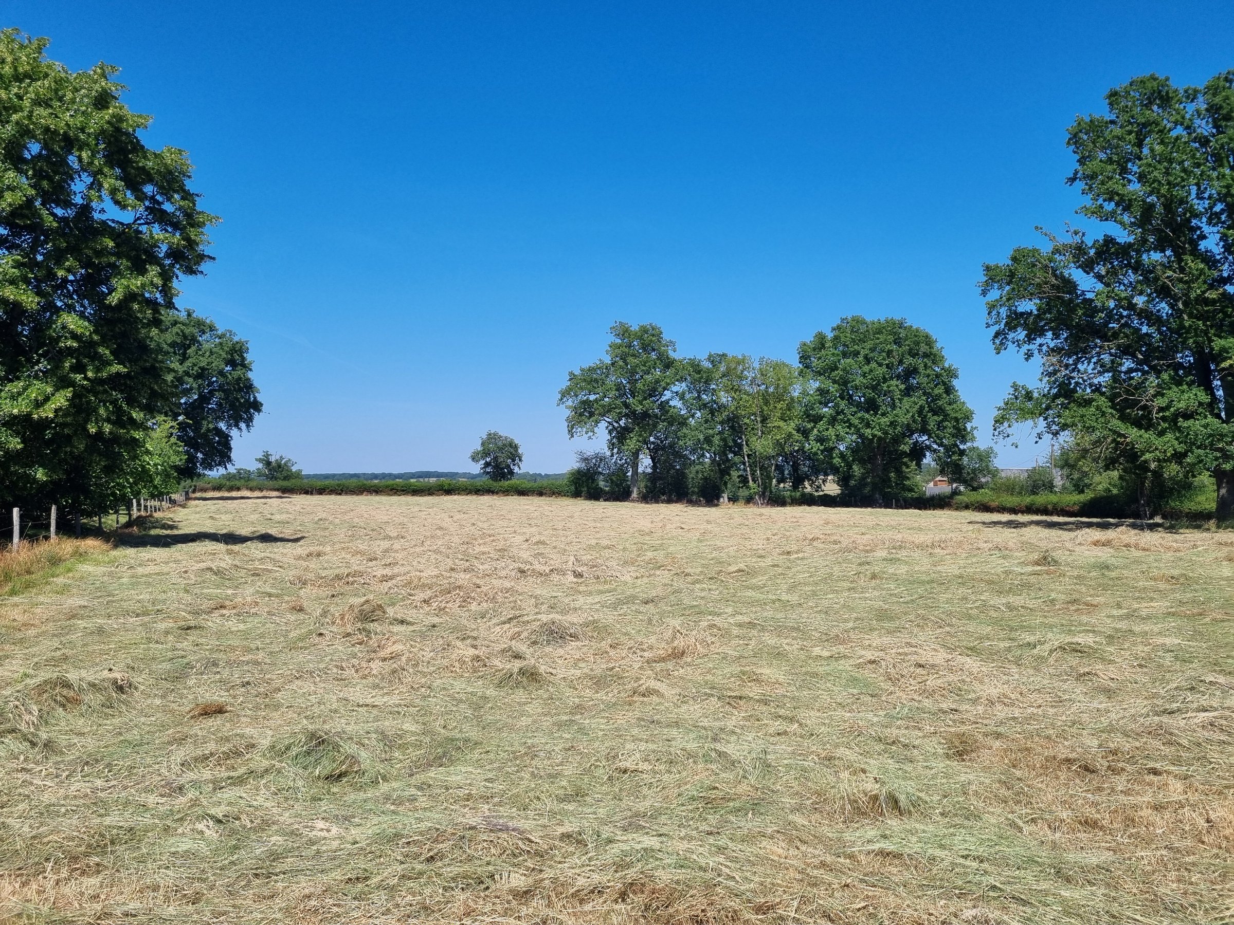 Photo 19 - Maison de campagne sur 9 778 m² de terrain !