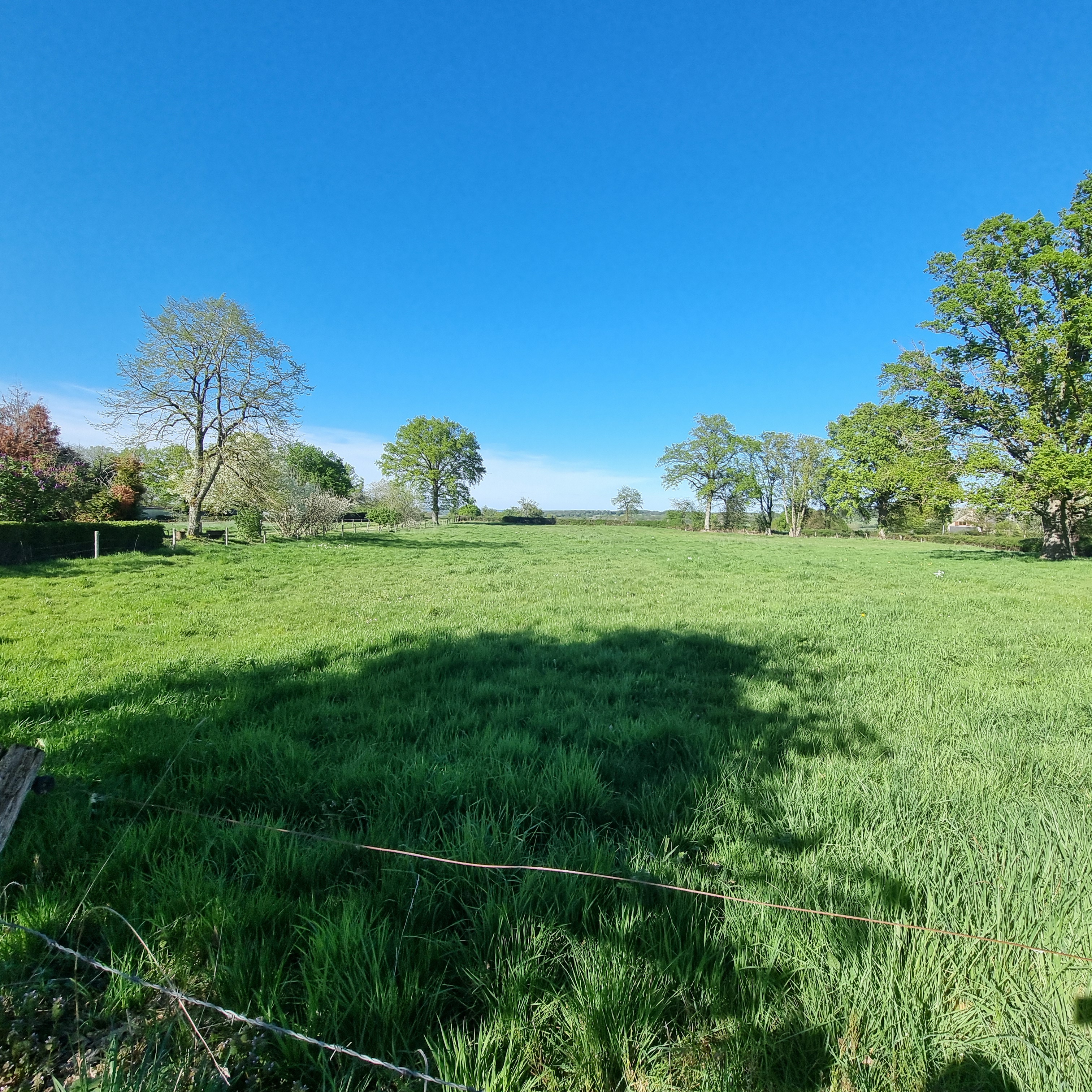 Photo 3 - Maison de campagne sur 9 778 m² de terrain !