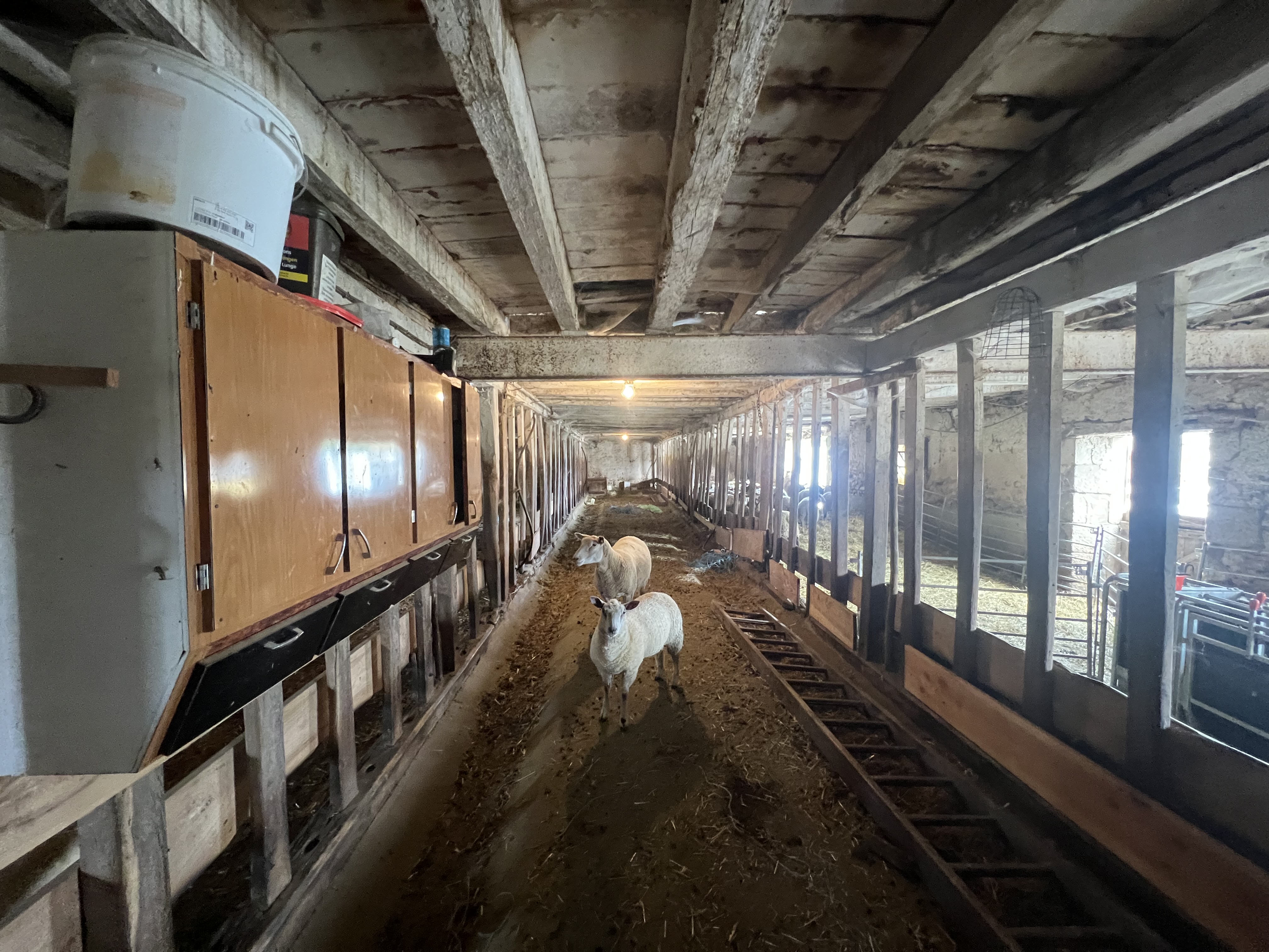 Photo 7 - Corps de ferme avec maison d&rsquo;habitation en campagne !