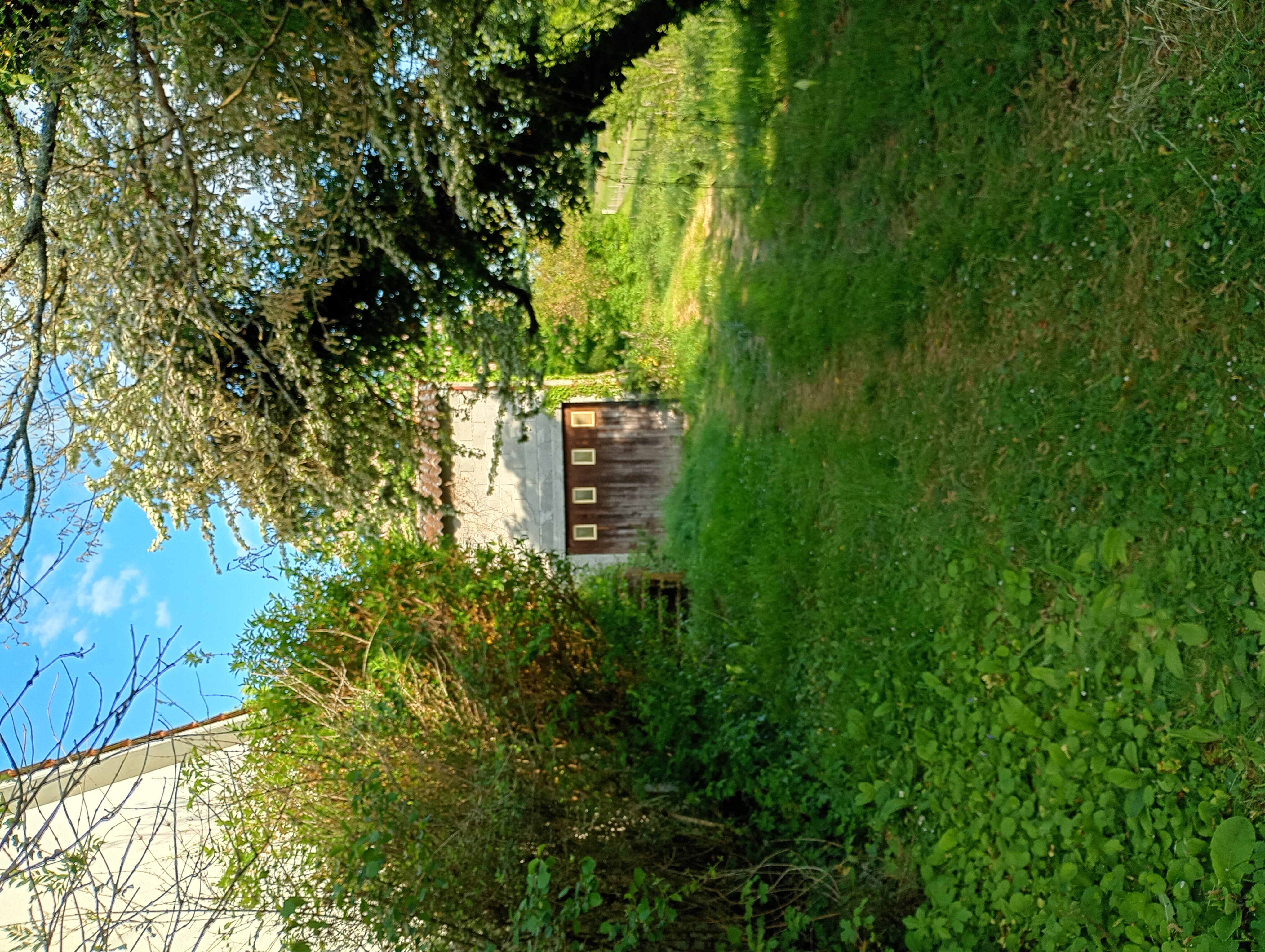 Photo 21 - Maison de plain-pied à rénover