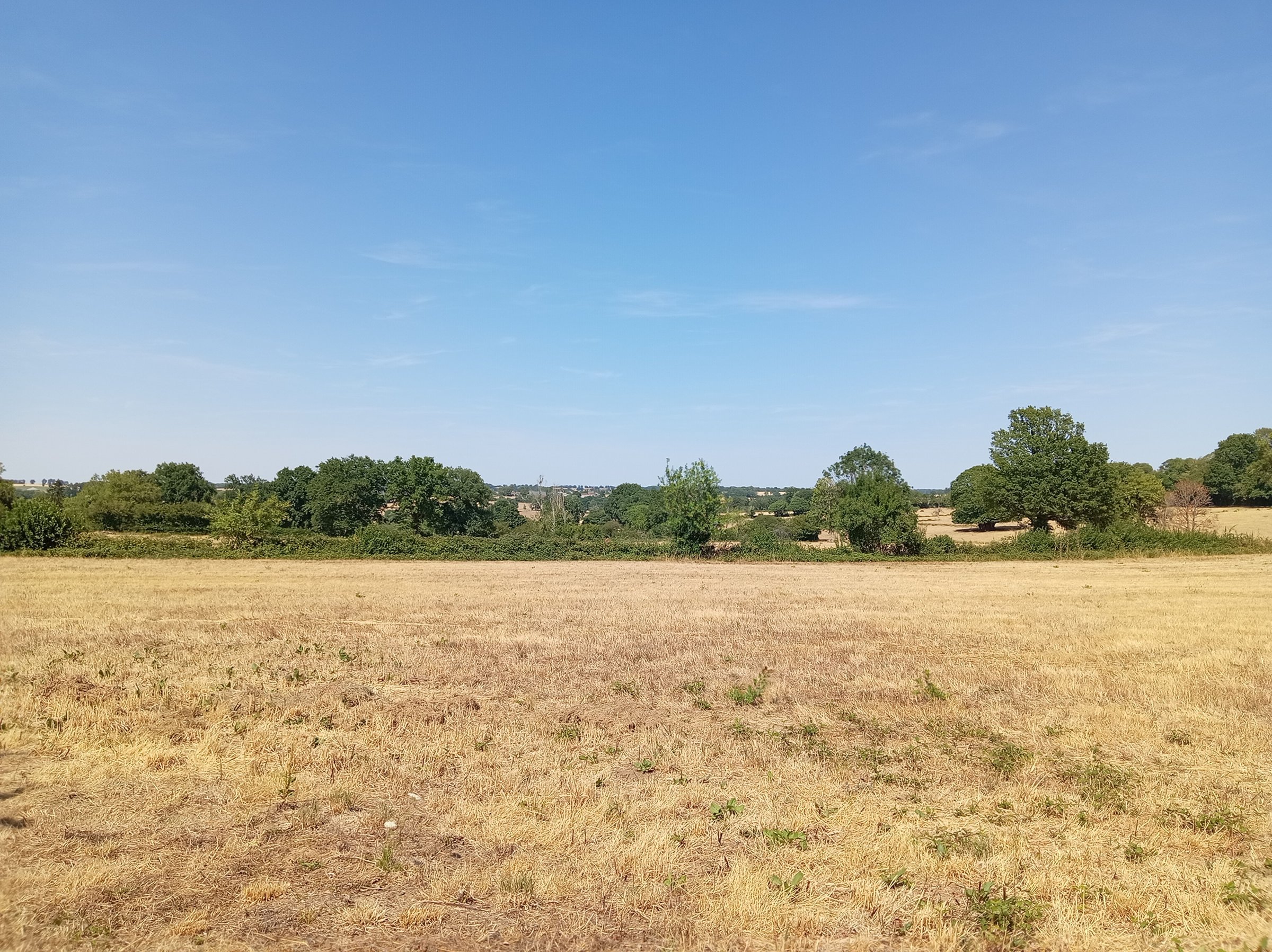 Photo 2 - Maison de campagne avec 1.3 hectares