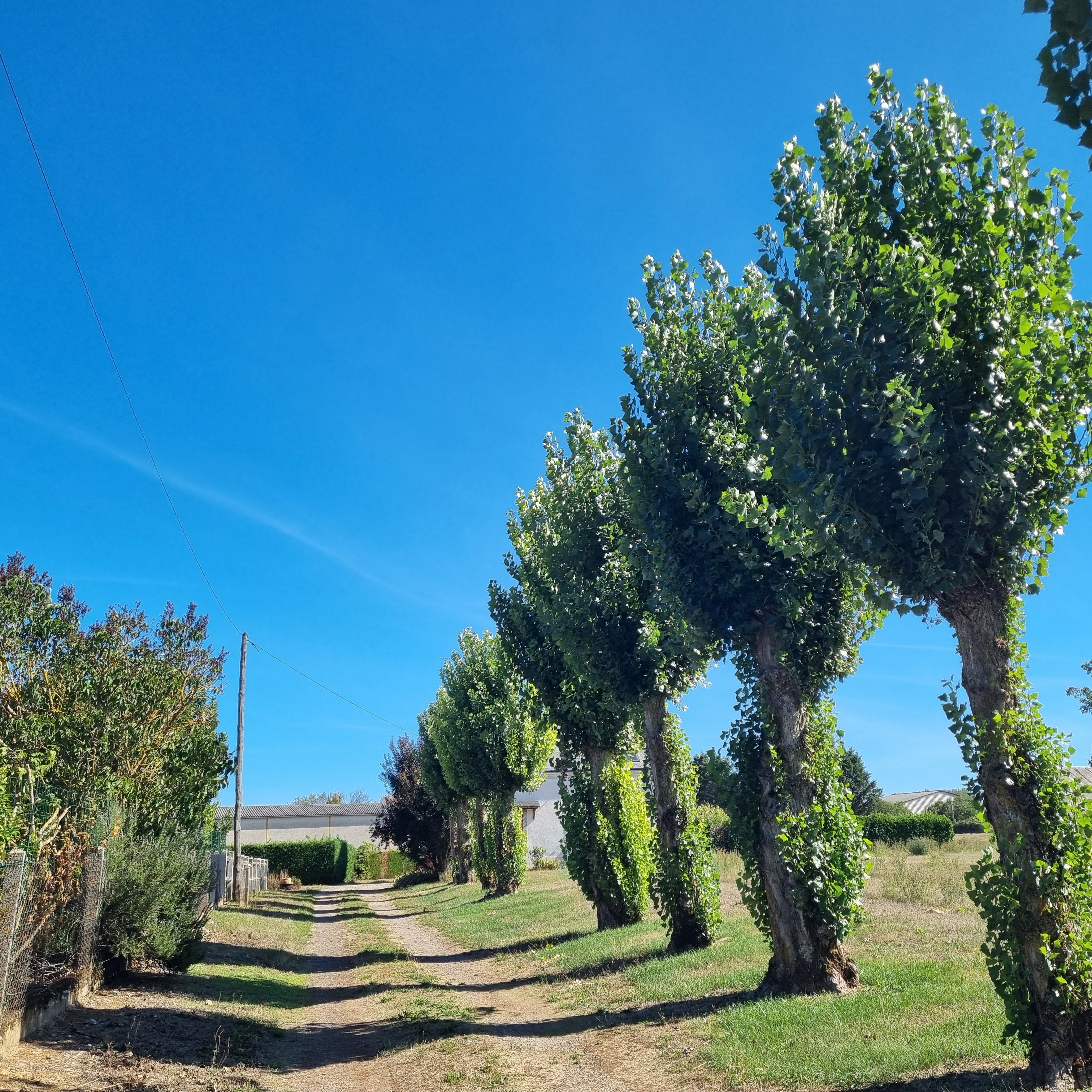 Photo 16 - Propriété sur 7 655 m²