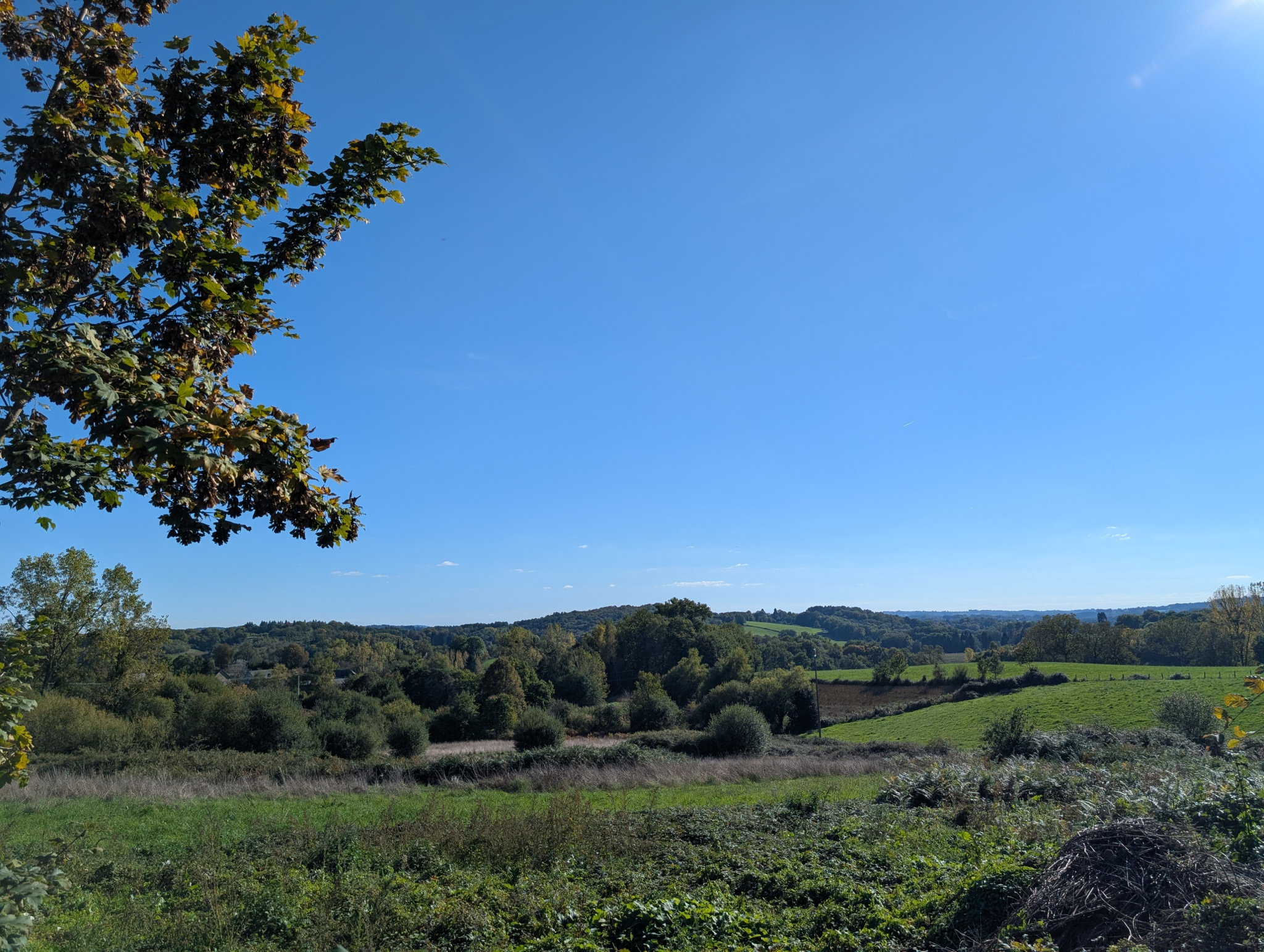 TERRAIN 3000m2 - Photo 2