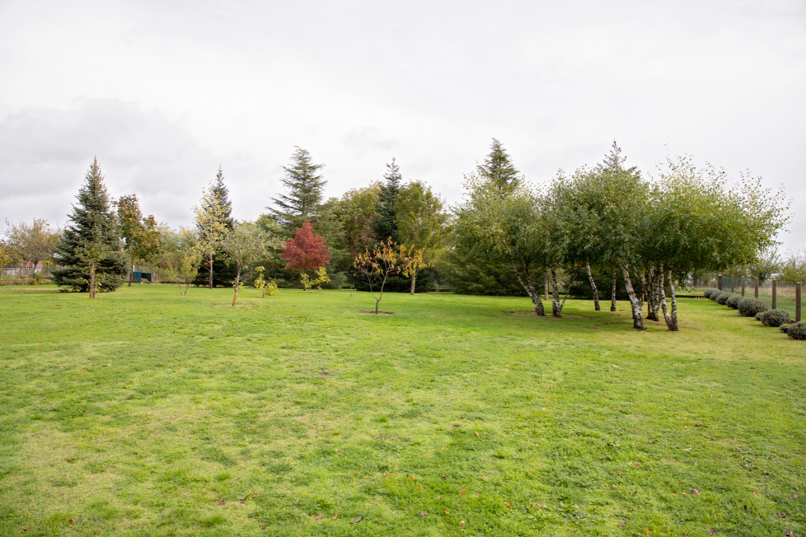 Photo 5 - Maison familiale
