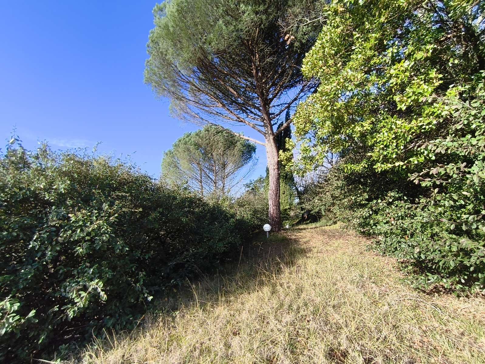 Photo 33 - Maison Type T5