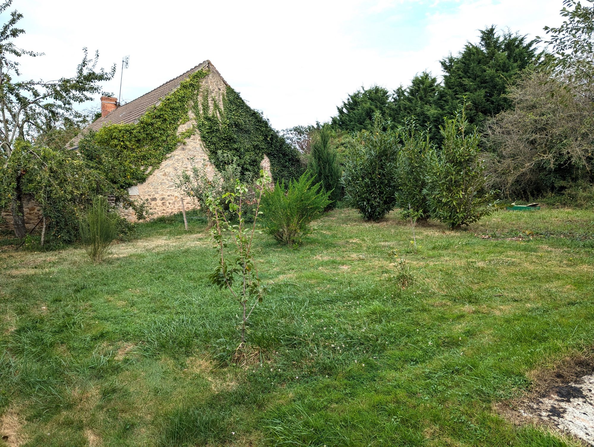 Photo 3 - Maison de bourg avec grange !