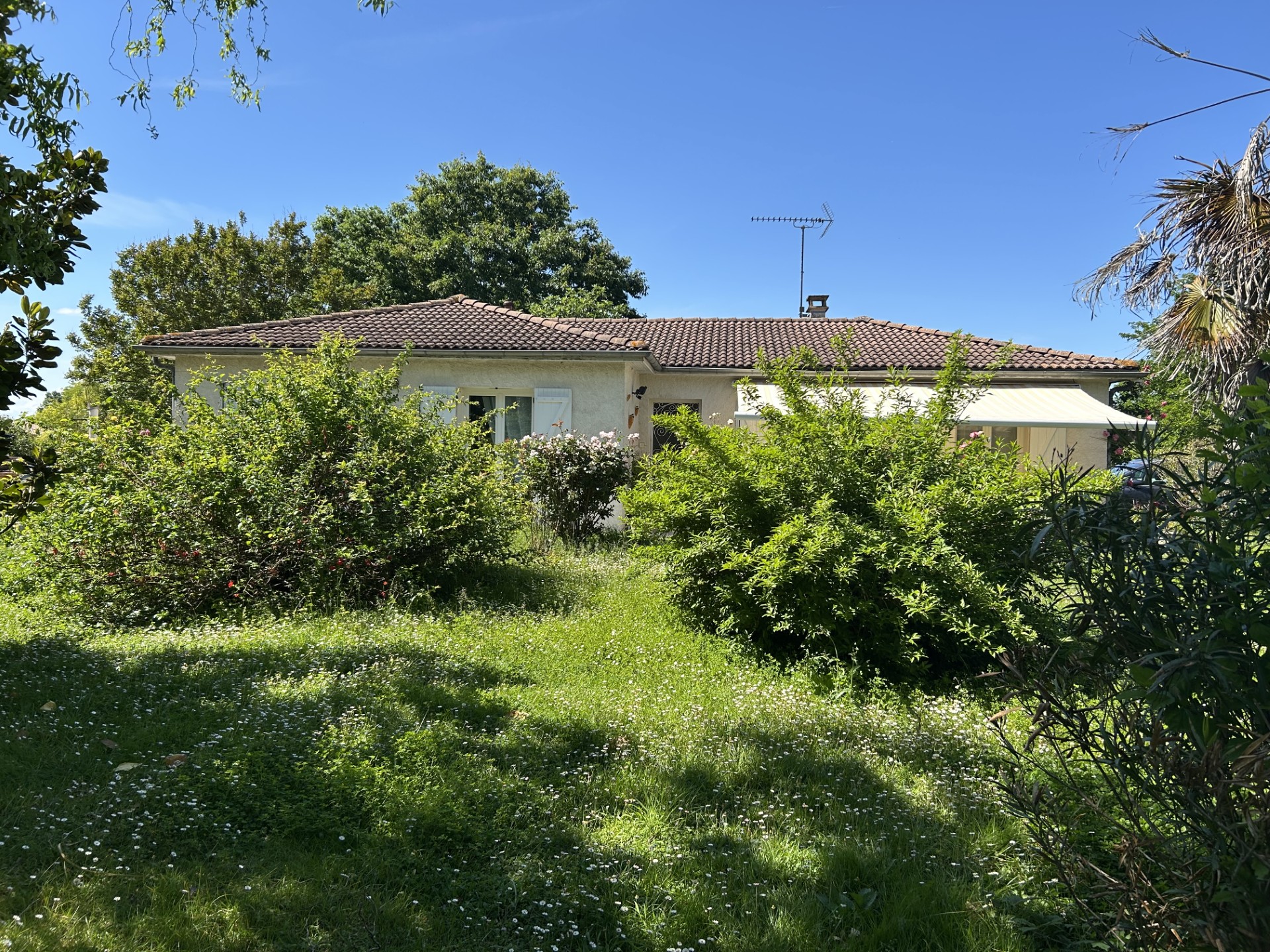 Villa dans parc arboré - Photo 2