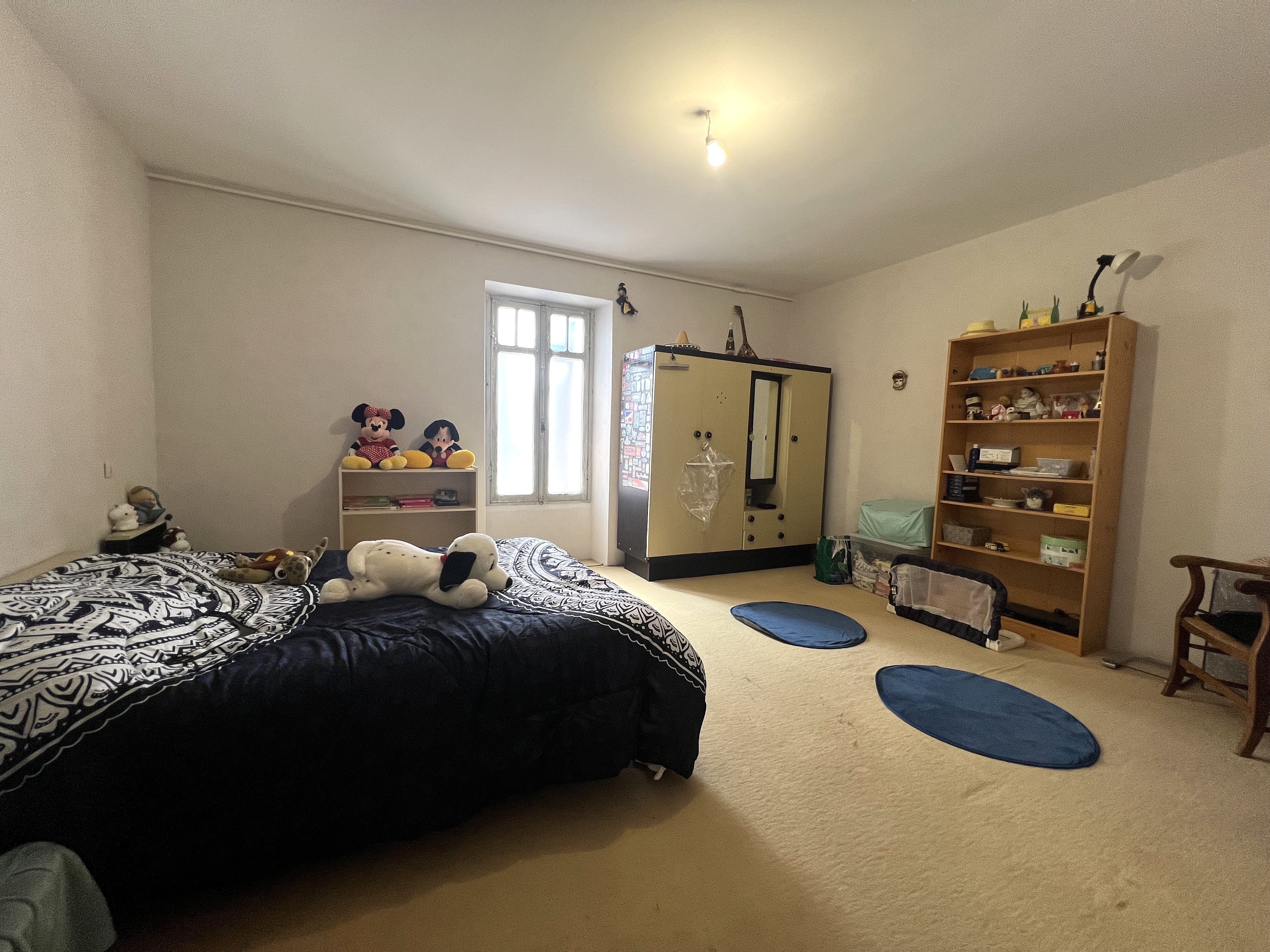 Photo 15 - Maison pierre avec jardin – 47140 Trentels