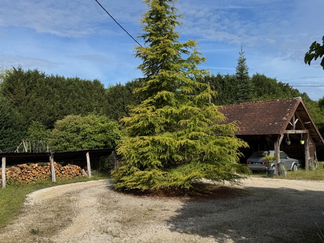 Photo 2 - LONGERE 226M² SUR TERRAIN 2762M²